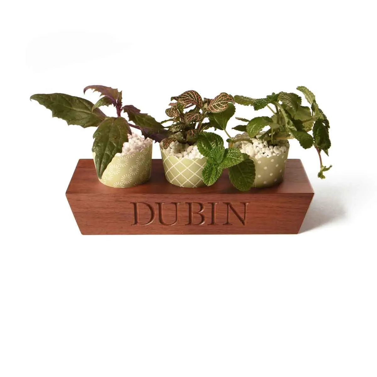 3 Tea Light Holder