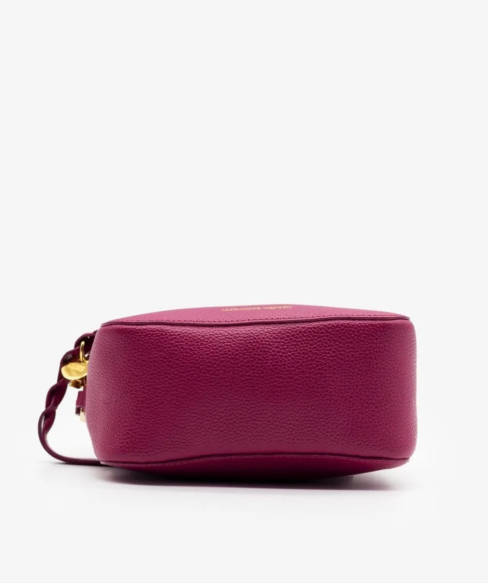 Alexander McQueeen Purple Camera Bag