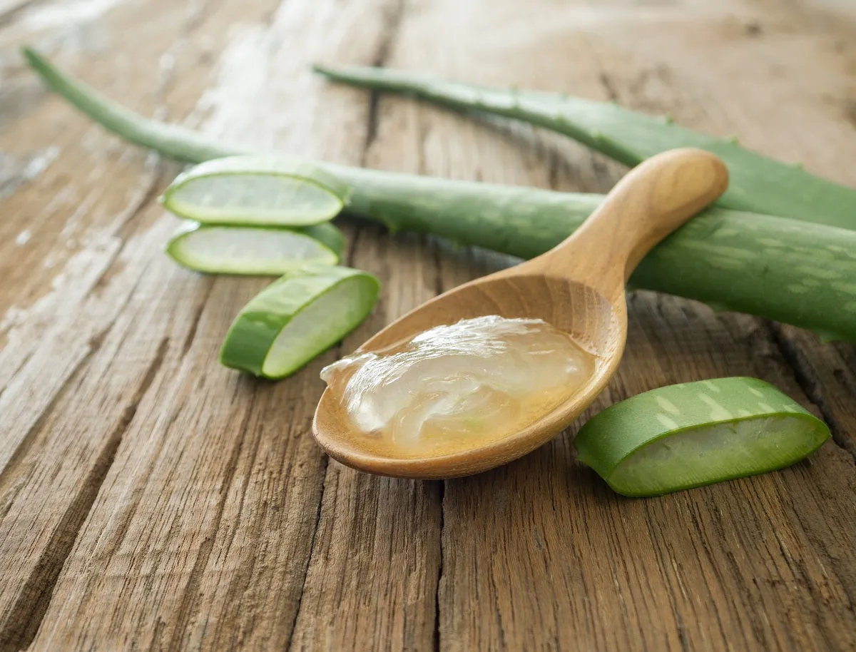 Aloe Vera Natural Soap Bar