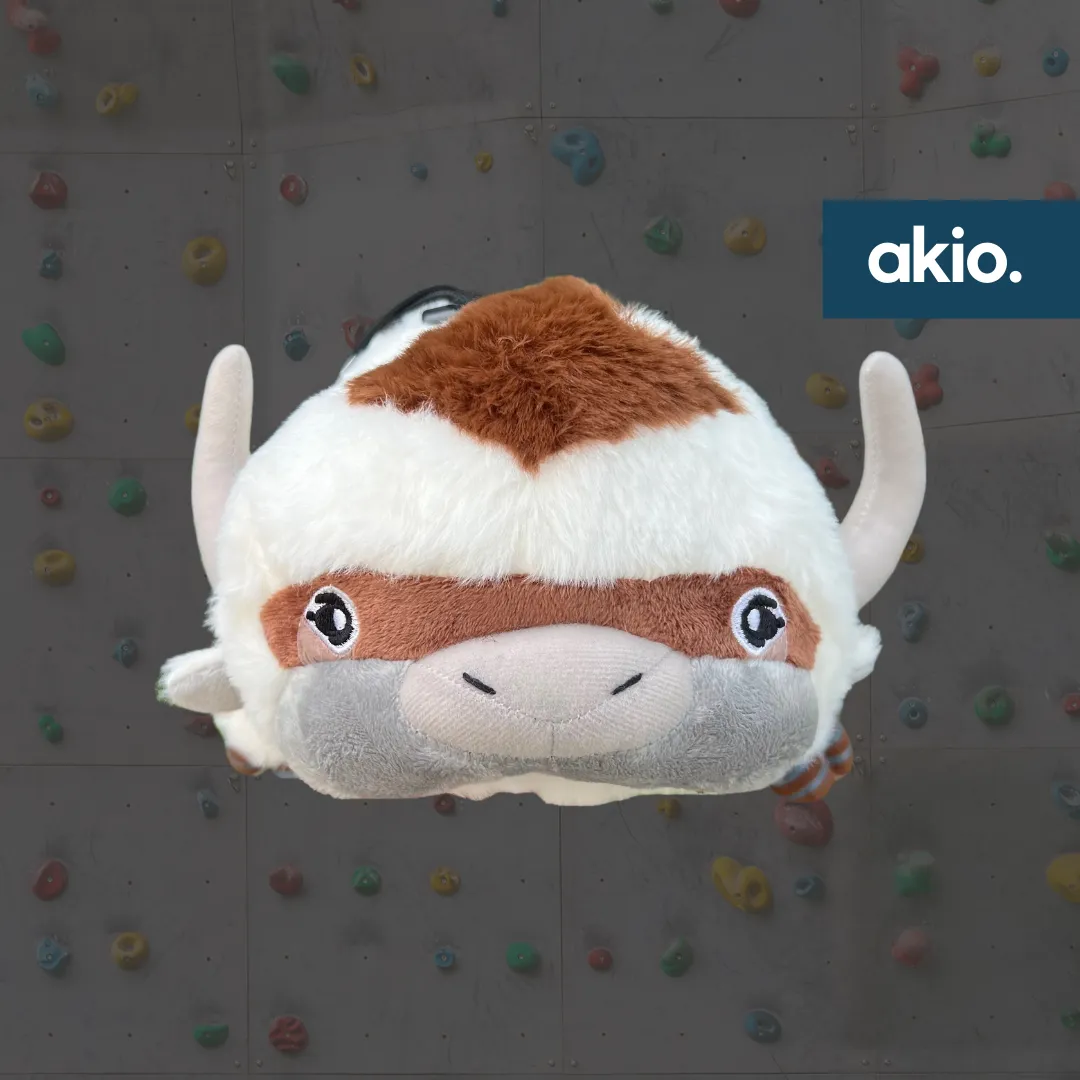 Avatar Appa Bison Chalk Bag