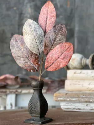 Bespoke Magnolia Pick | 16"