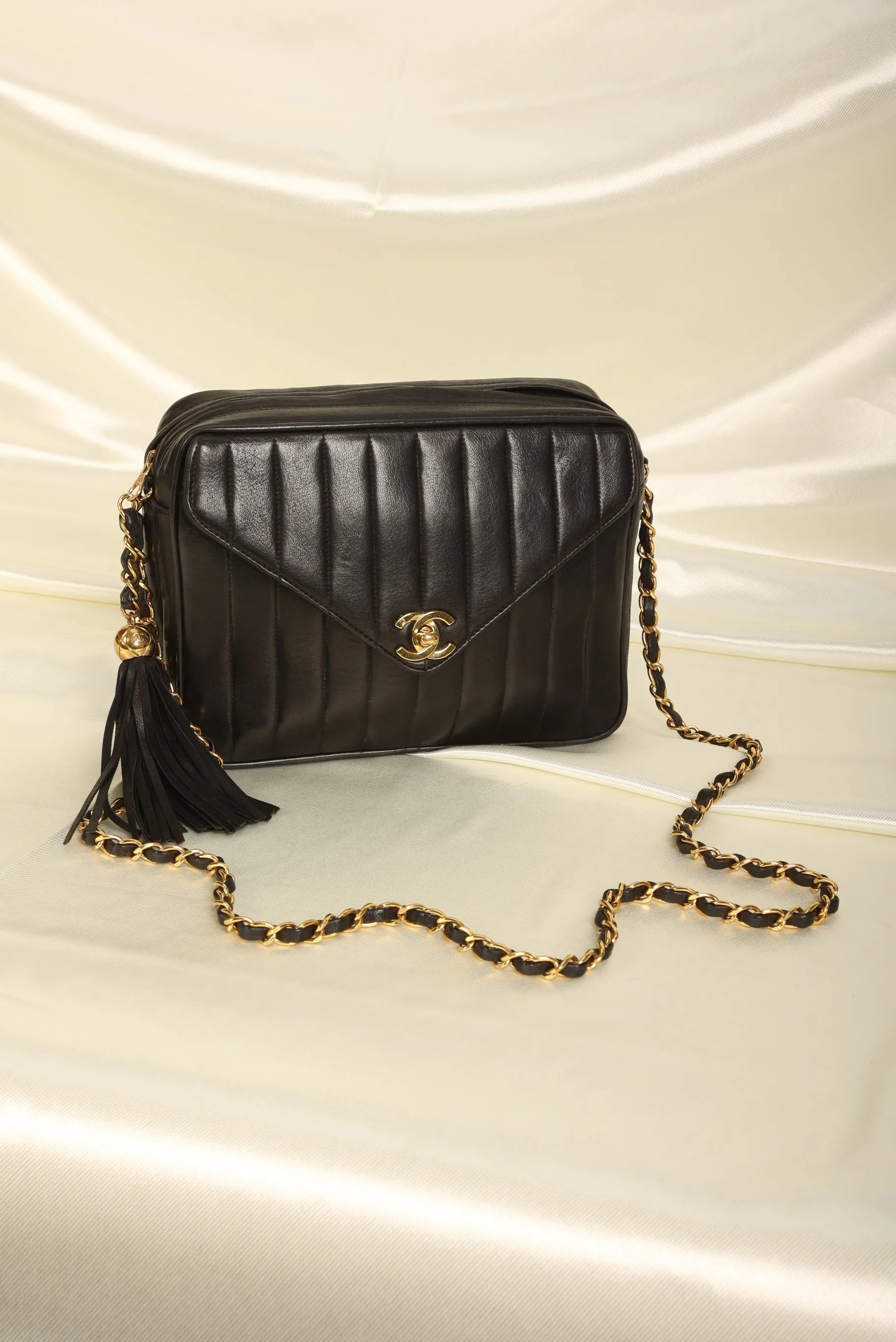Chanel Lambskin Vertical Camera Bag