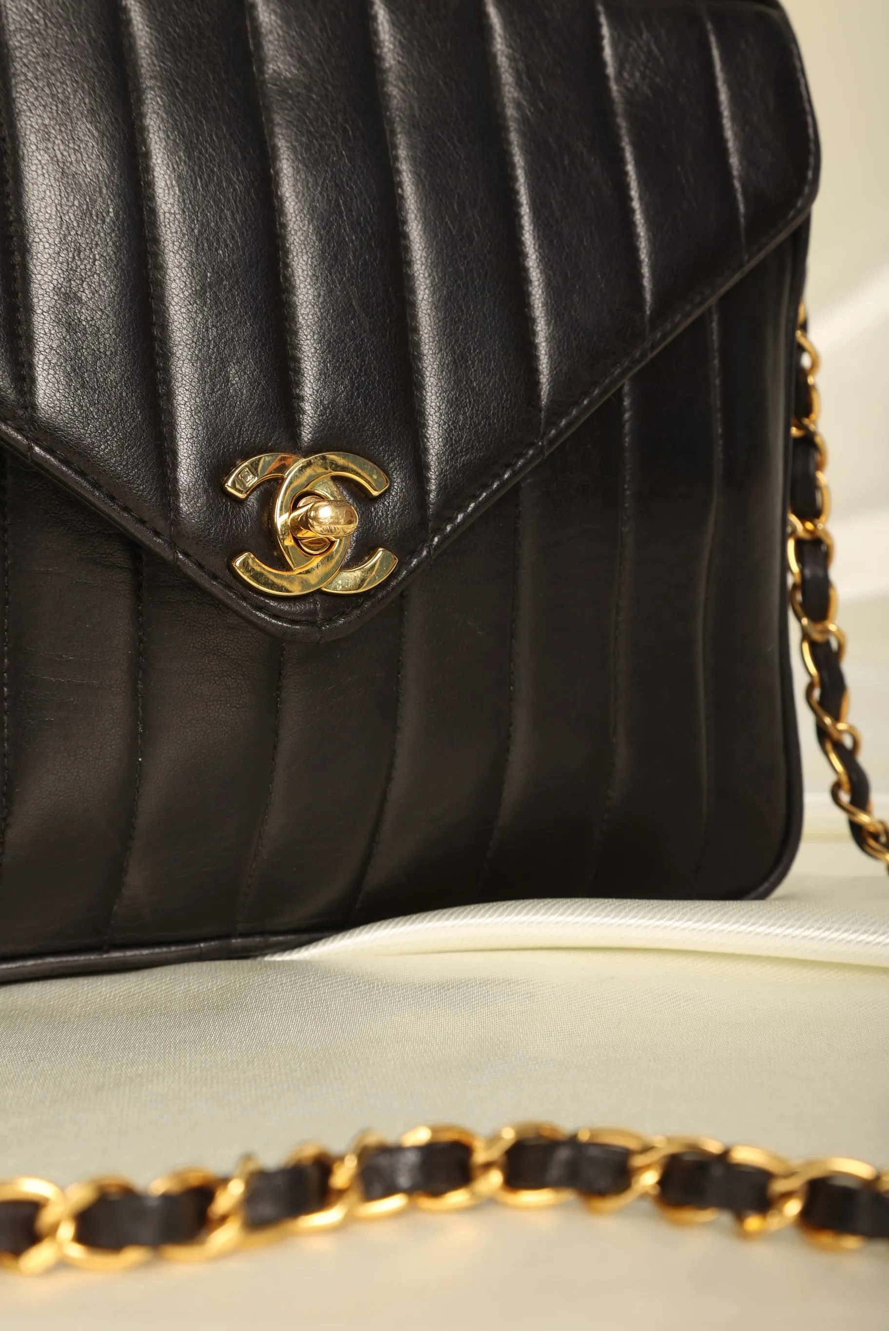 Chanel Lambskin Vertical Camera Bag