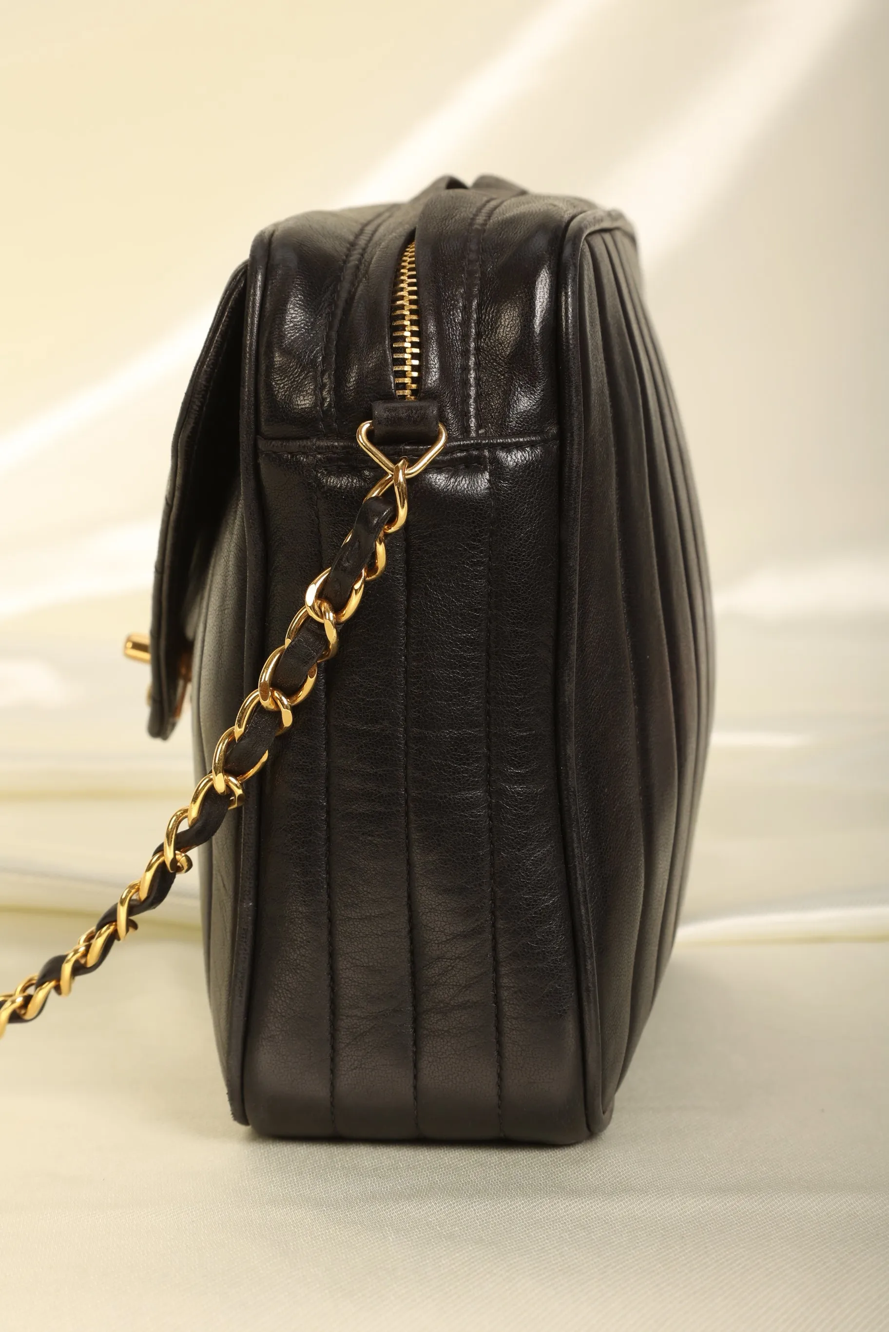 Chanel Lambskin Vertical Camera Bag
