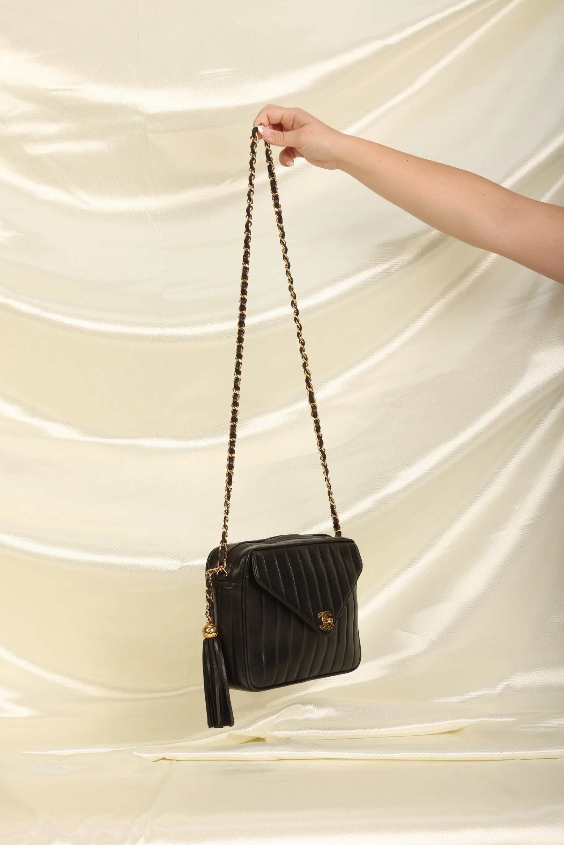 Chanel Lambskin Vertical Camera Bag