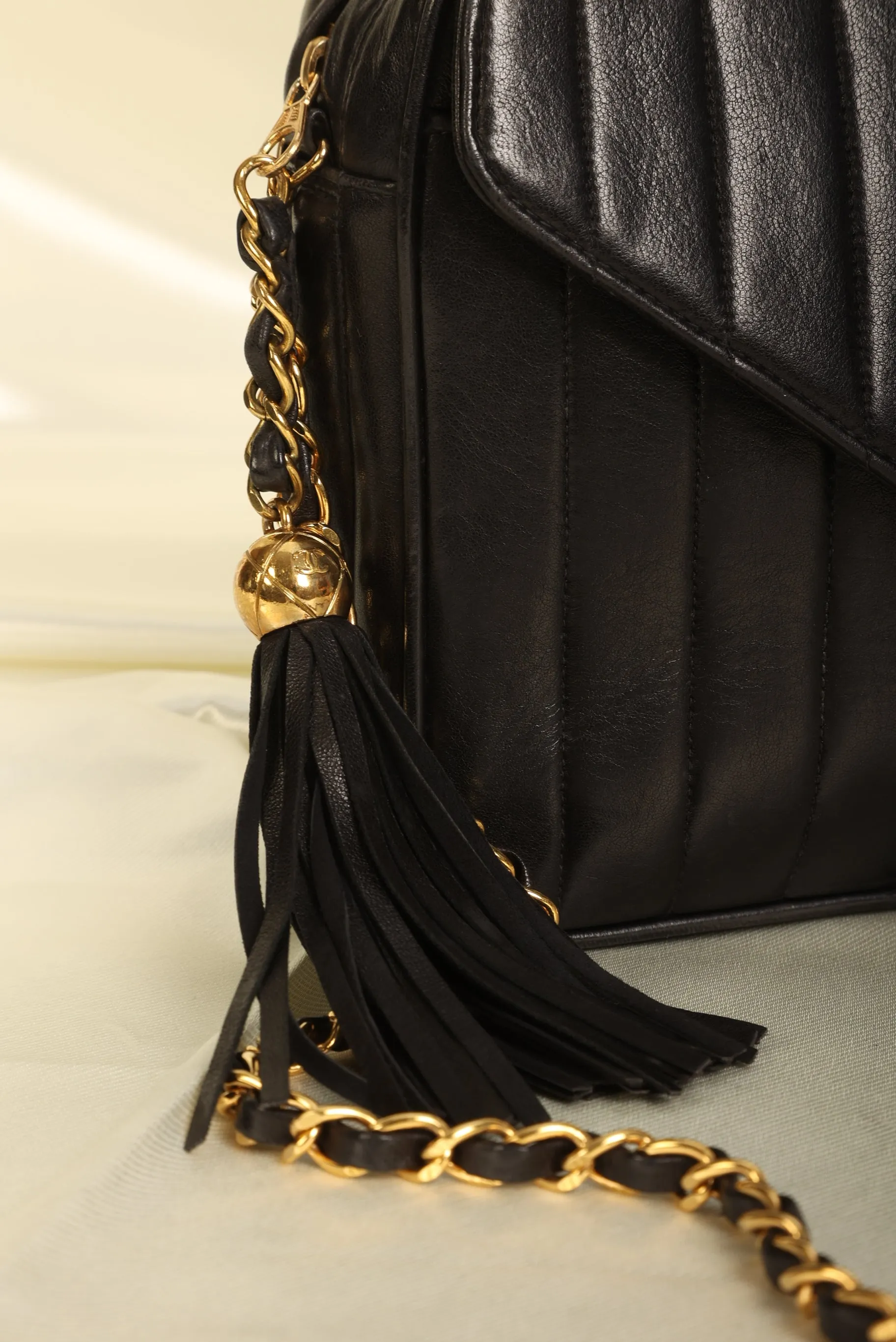 Chanel Lambskin Vertical Camera Bag