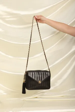Chanel Lambskin Vertical Camera Bag