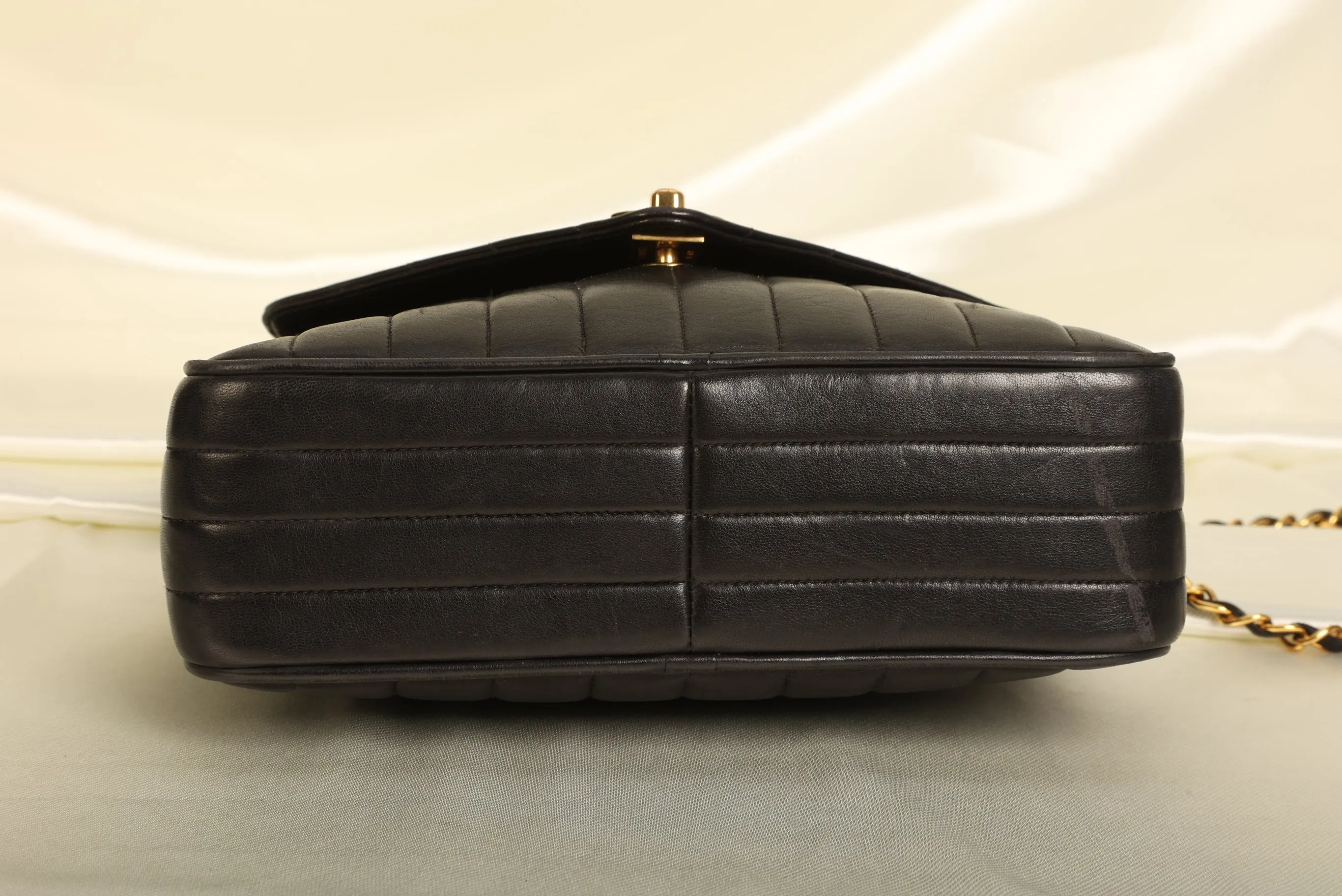 Chanel Lambskin Vertical Camera Bag