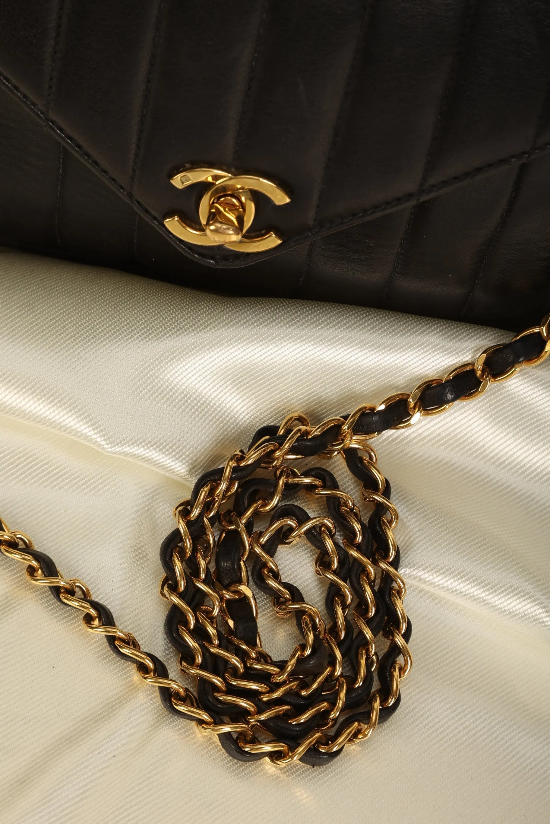 Chanel Lambskin Vertical Camera Bag