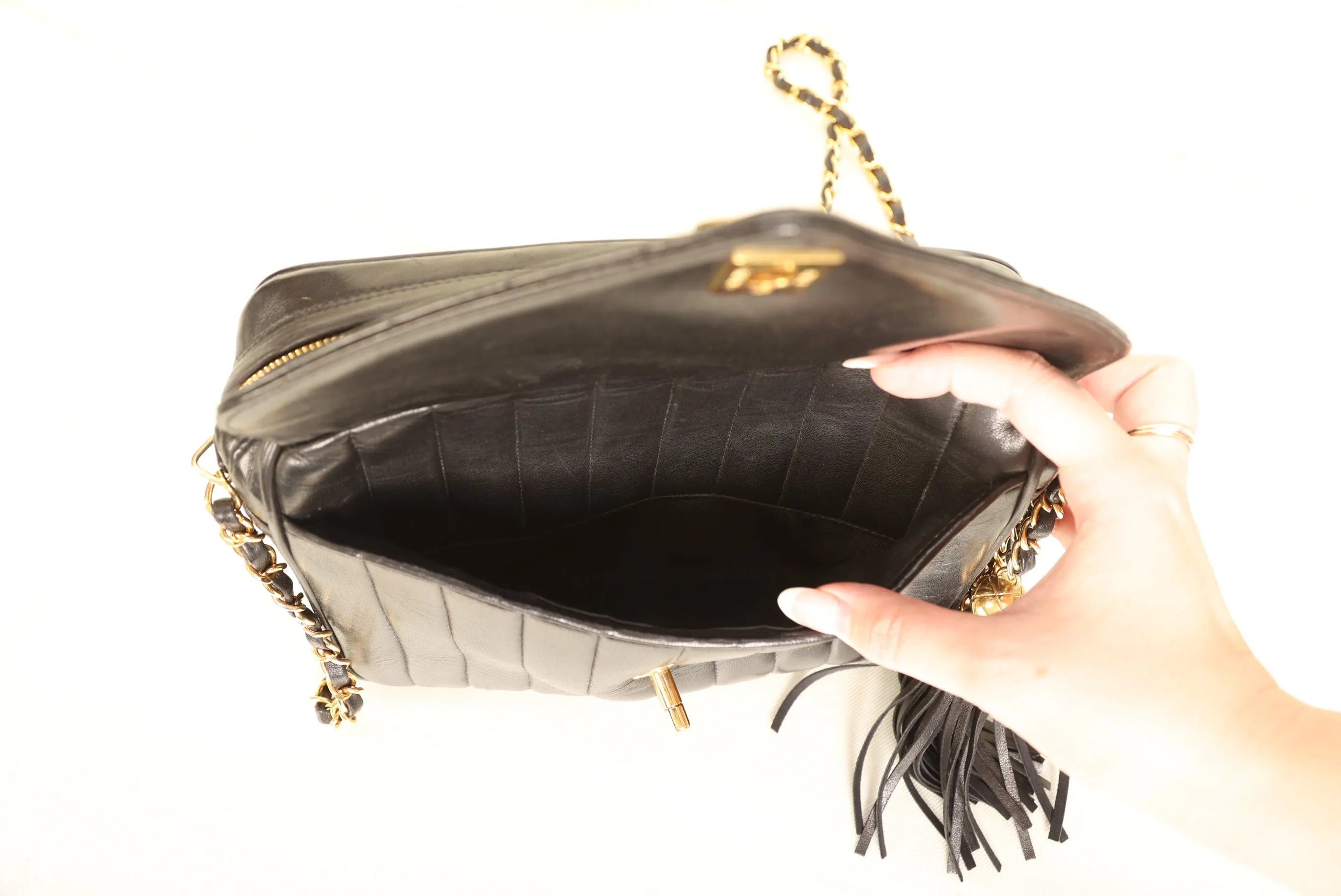 Chanel Lambskin Vertical Camera Bag