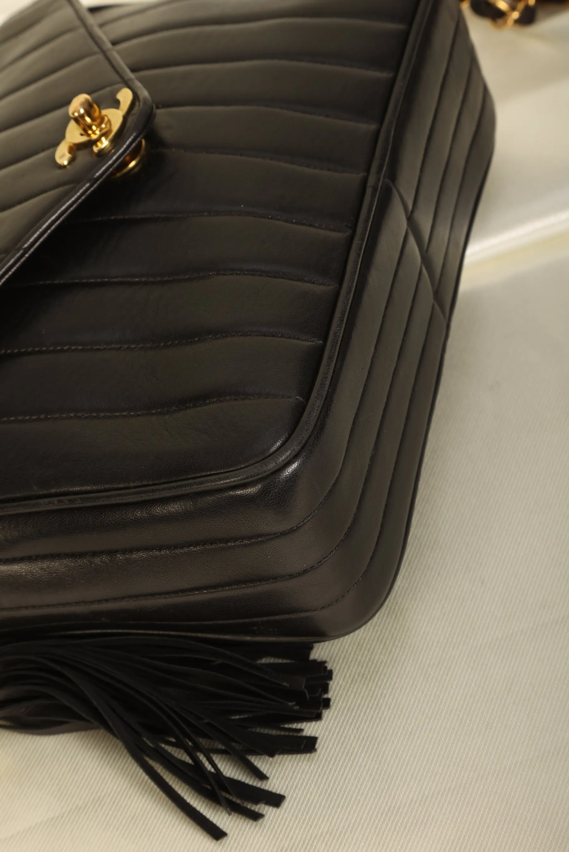 Chanel Lambskin Vertical Camera Bag