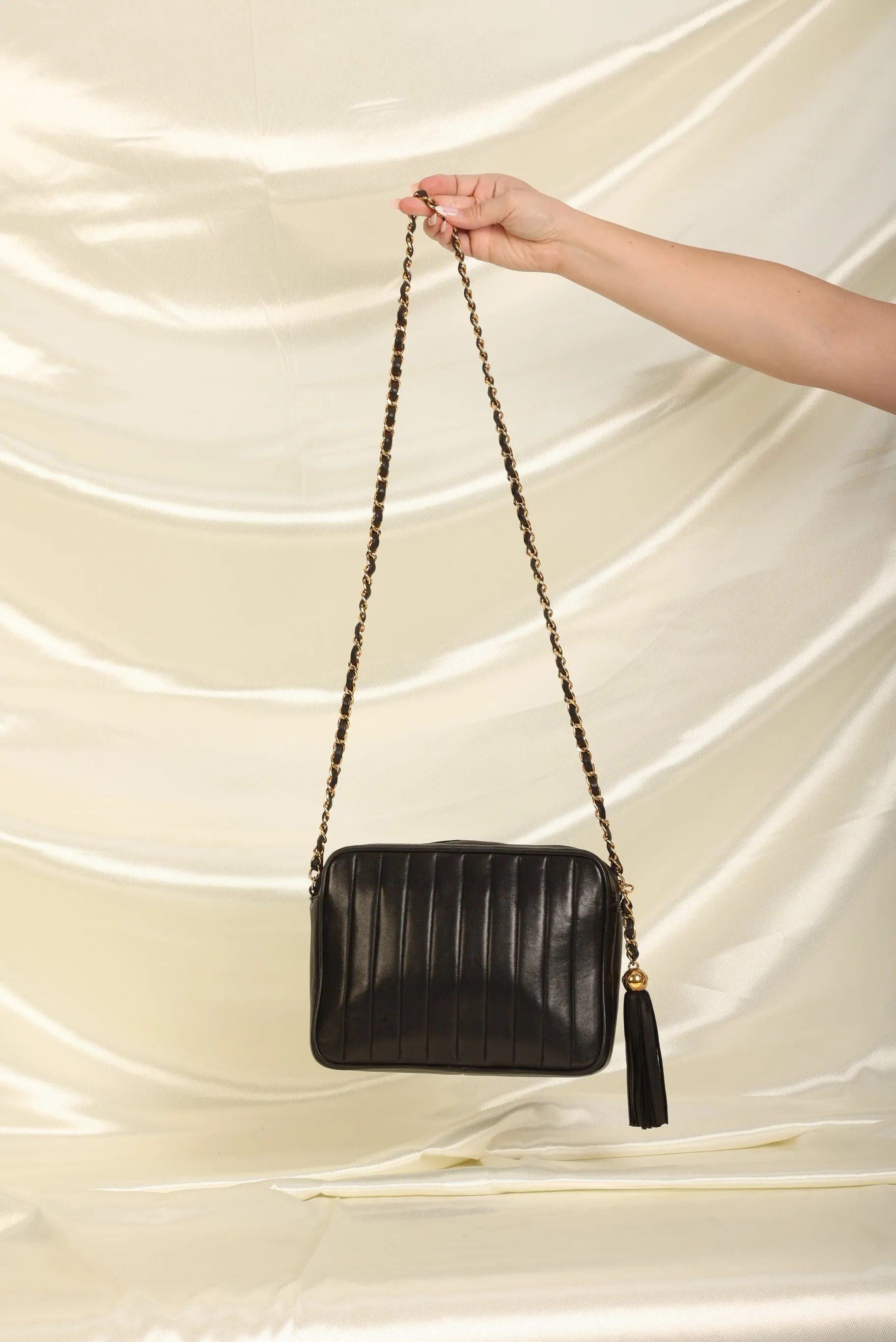 Chanel Lambskin Vertical Camera Bag