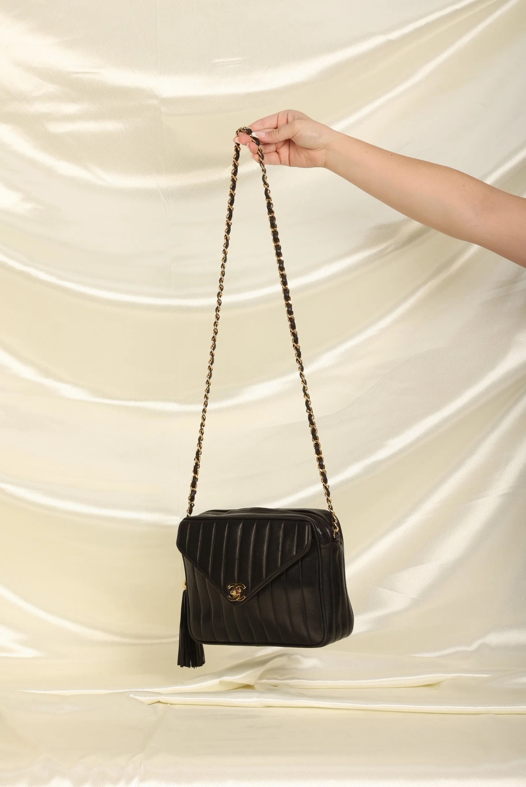 Chanel Lambskin Vertical Camera Bag