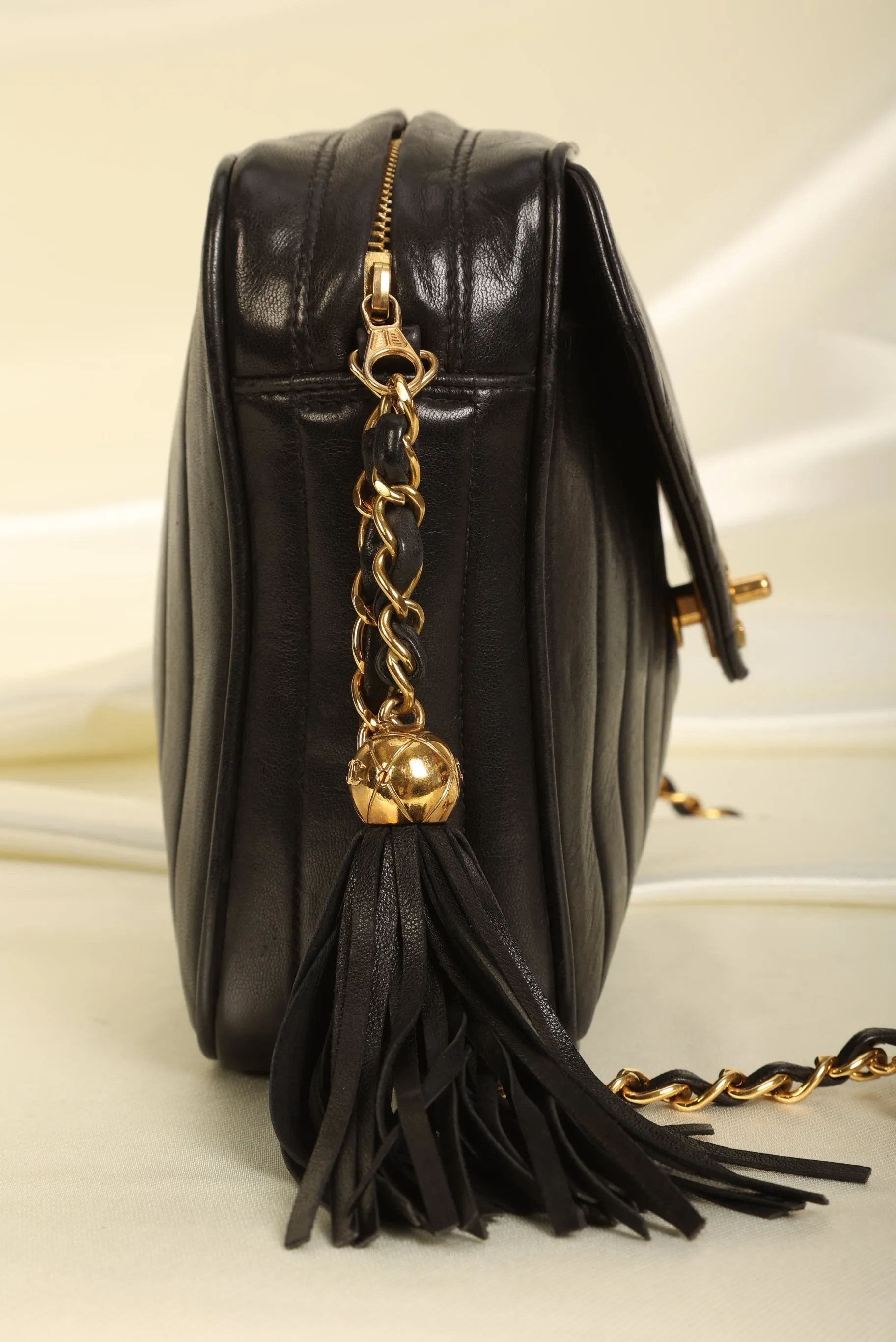 Chanel Lambskin Vertical Camera Bag