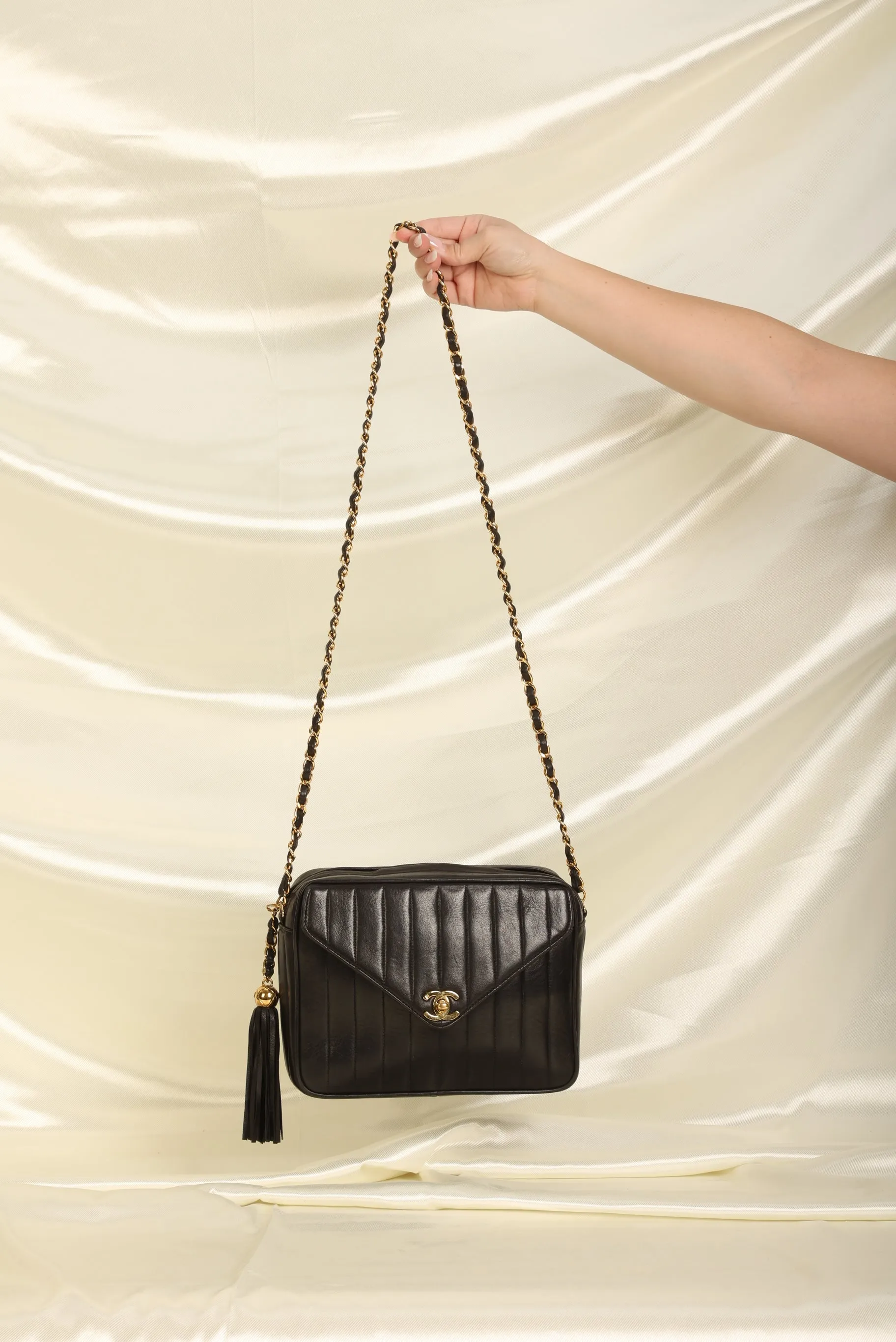 Chanel Lambskin Vertical Camera Bag