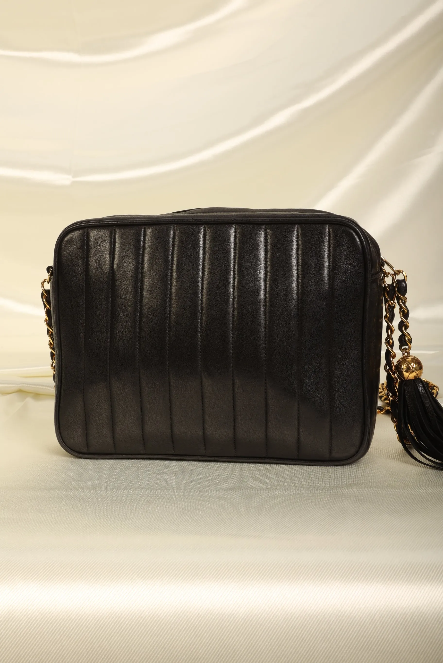 Chanel Lambskin Vertical Camera Bag
