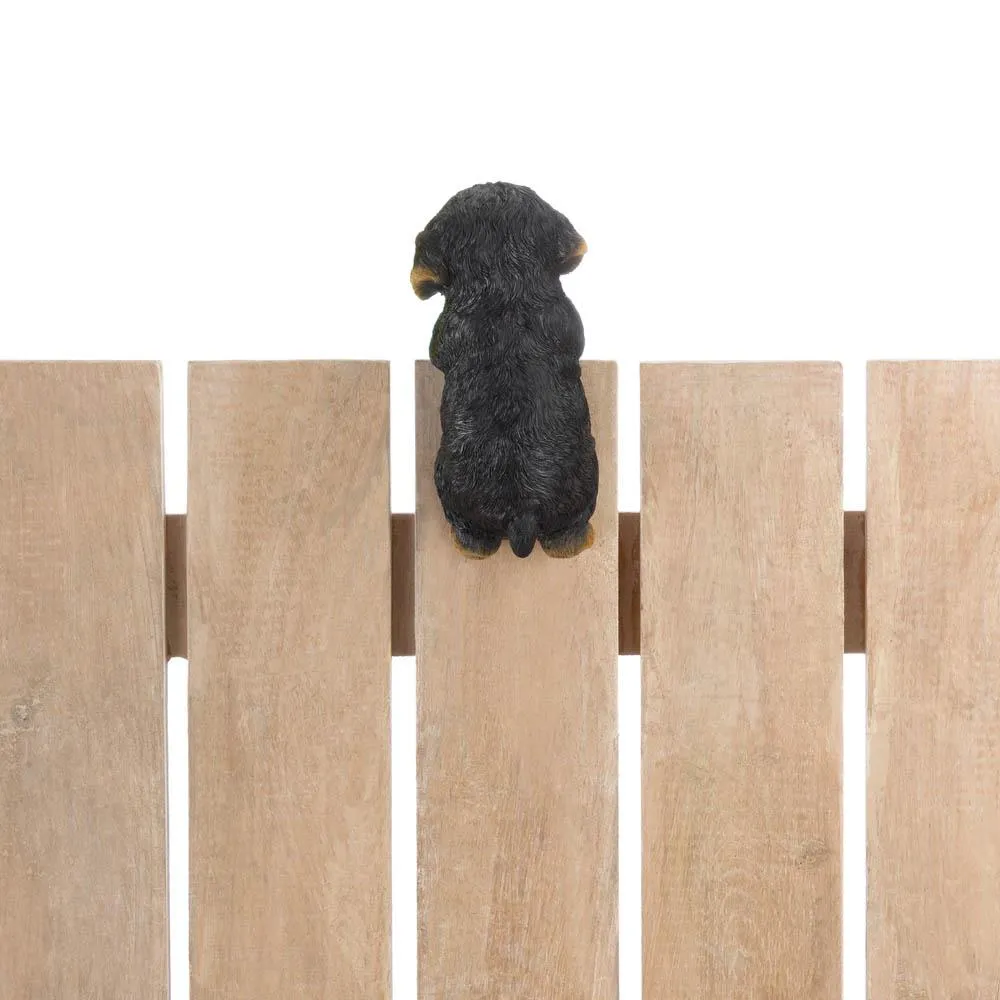 Climbing Cutie Dotson Puppy "Parker"