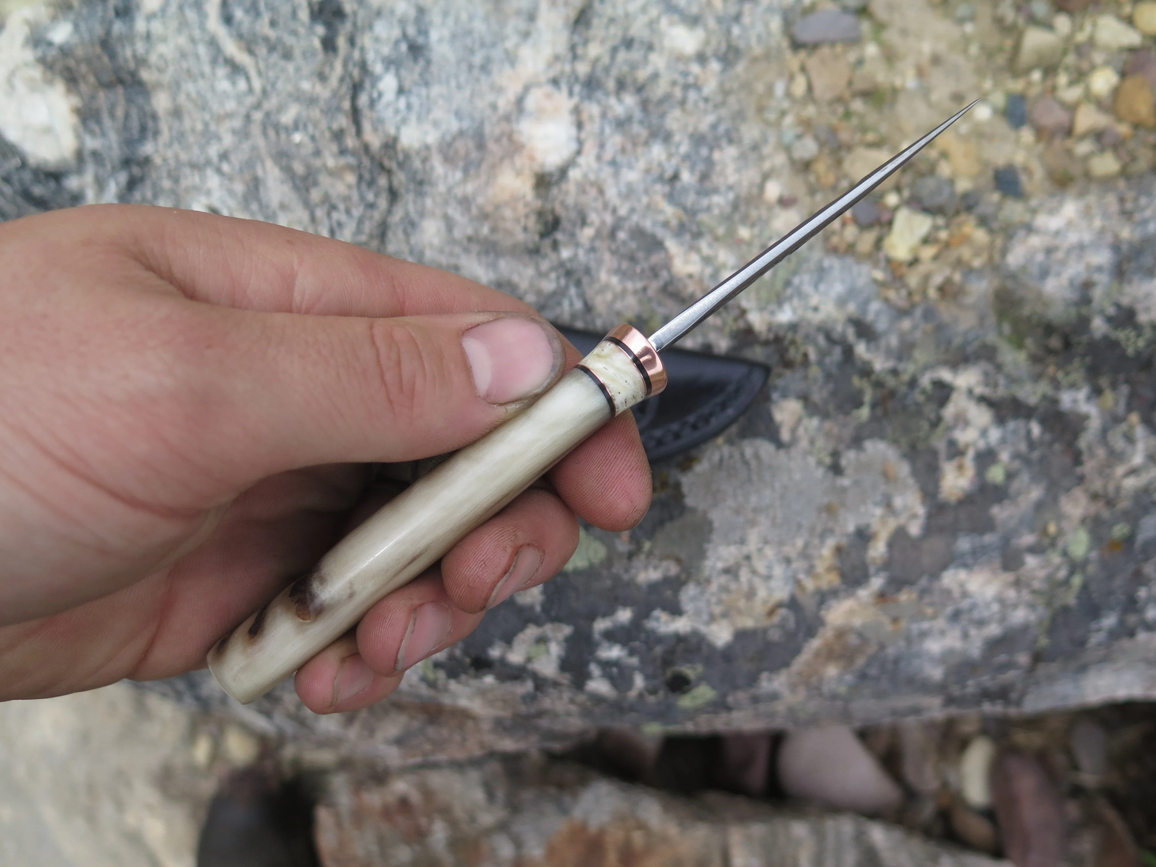 Dall Sheep Horn & Ox Pocket