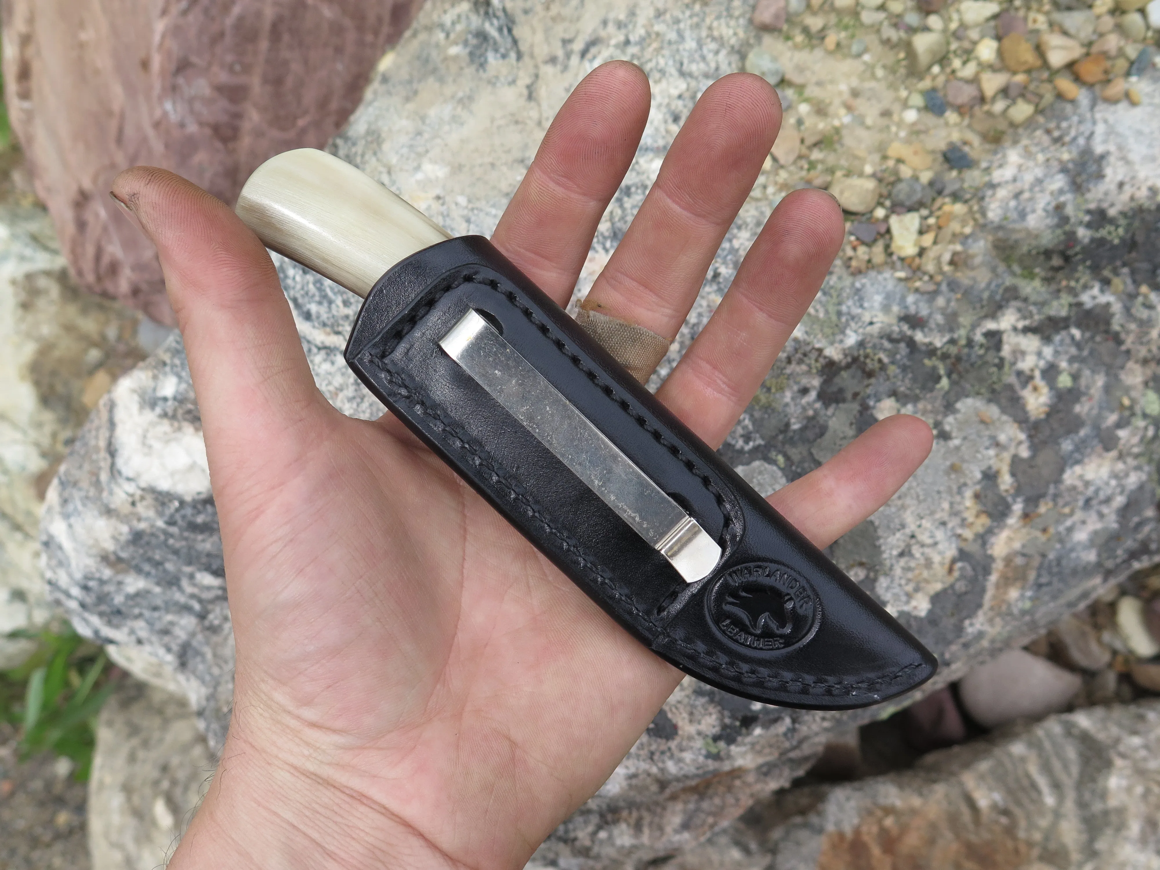 Dall Sheep Horn & Ox Pocket