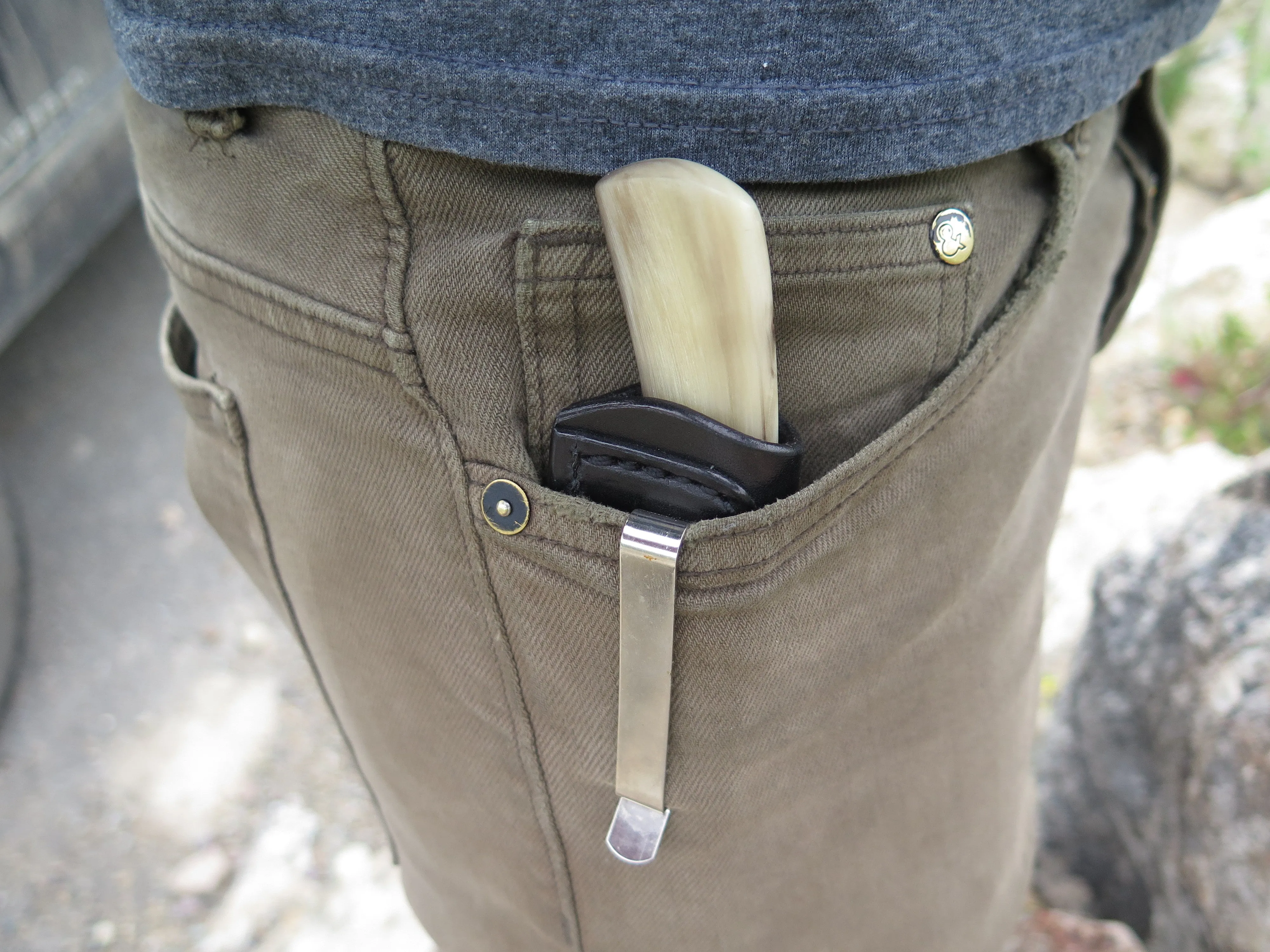 Dall Sheep Horn & Ox Pocket