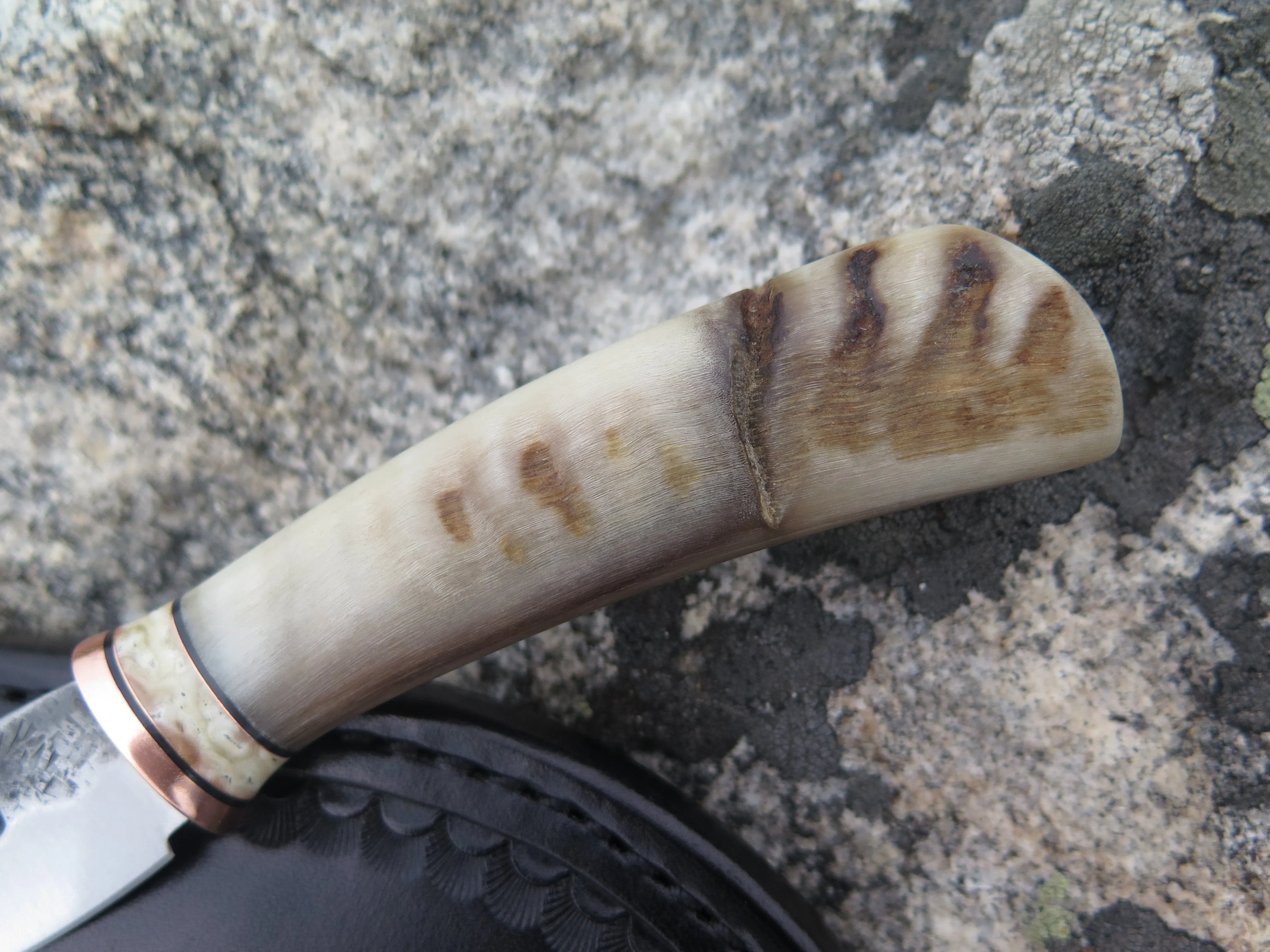 Dall Sheep Horn & Ox Pocket
