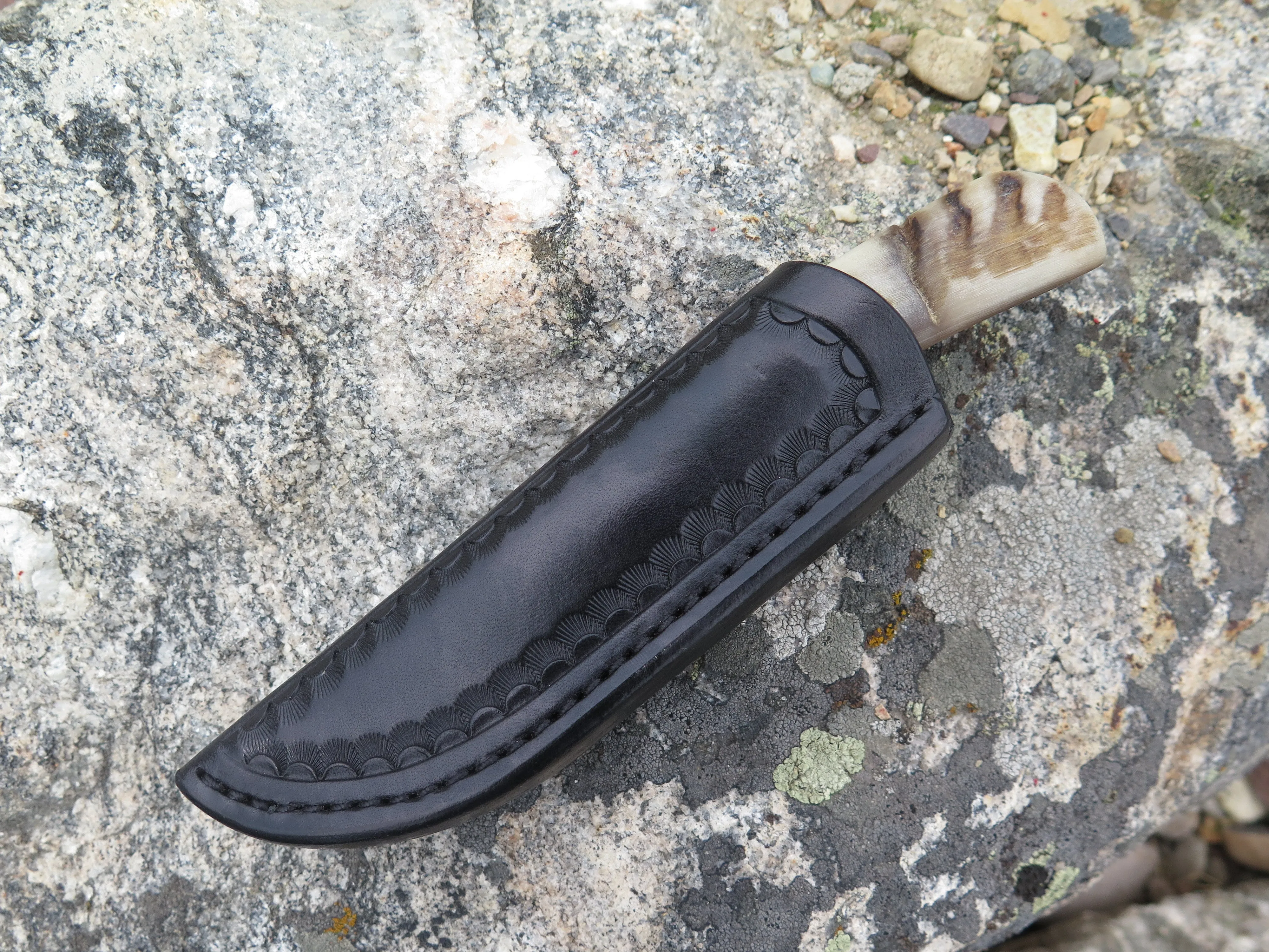 Dall Sheep Horn & Ox Pocket
