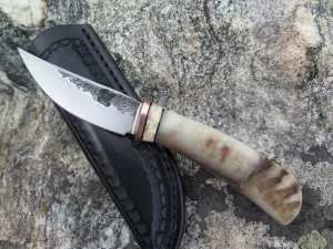 Dall Sheep Horn & Ox Pocket