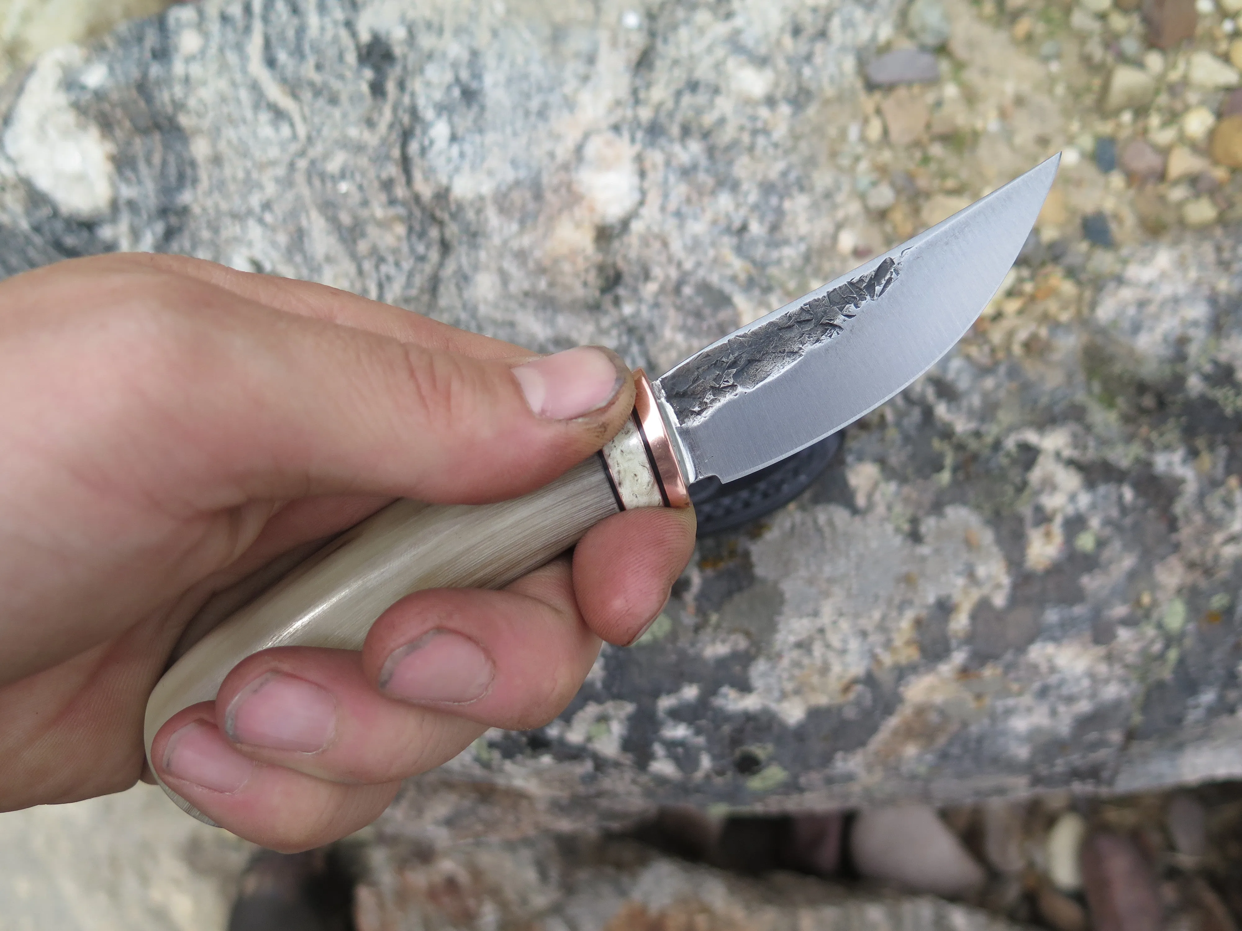Dall Sheep Horn & Ox Pocket