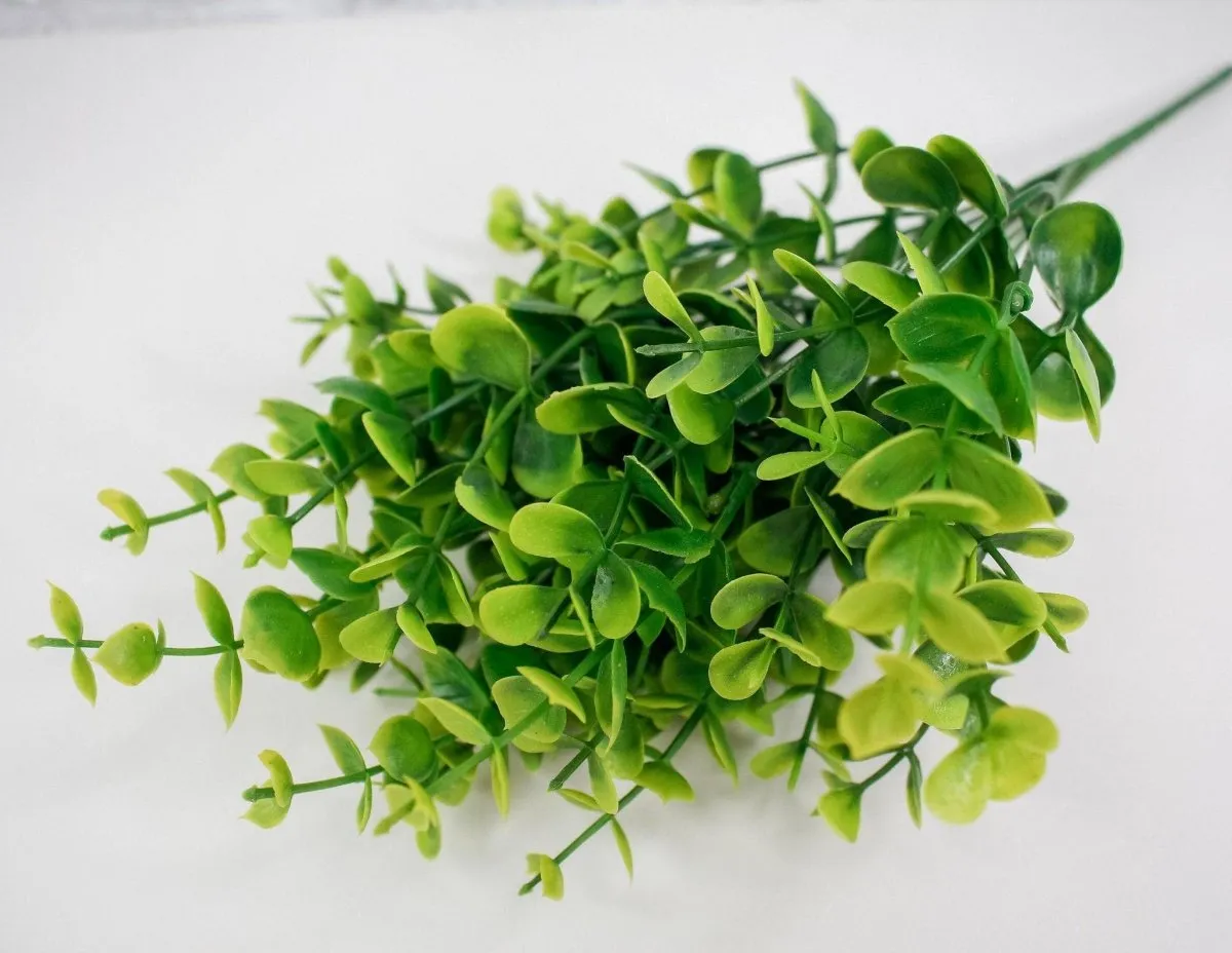 Eucalyptus Bush Spray - Bright Green