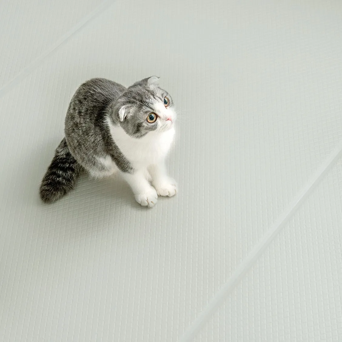 F140 (7mm) Anti-slip Mat