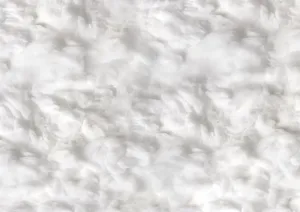 Fluffy Floor-rf