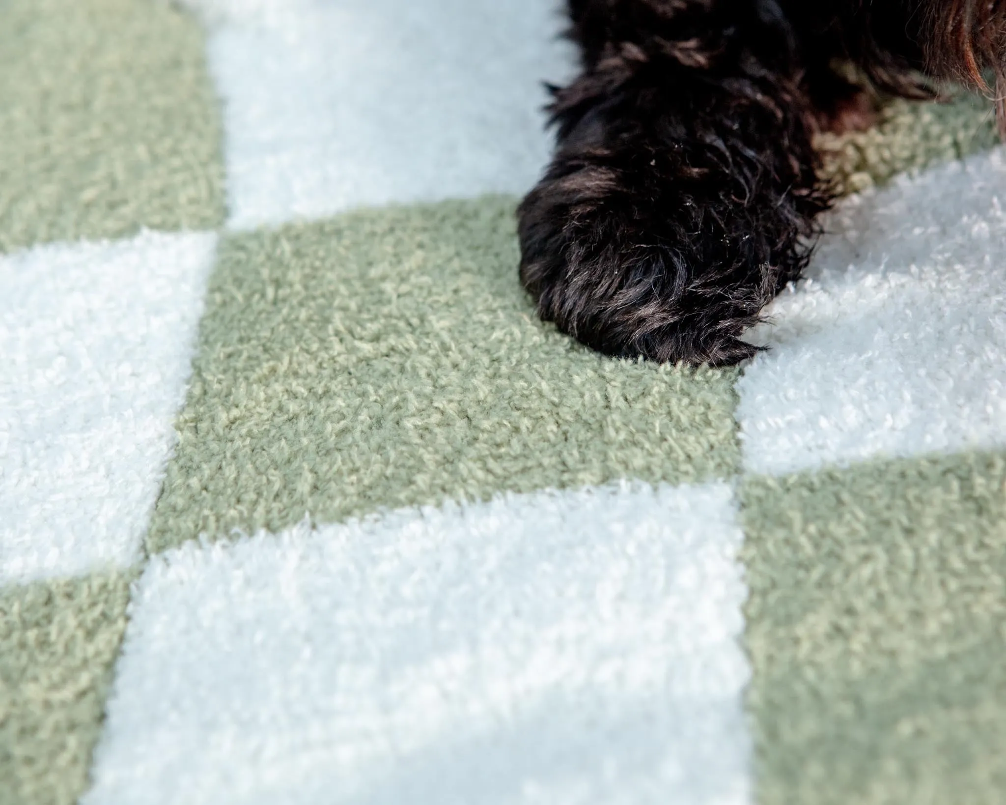 Luxe Check Blanket in Matcha Sage