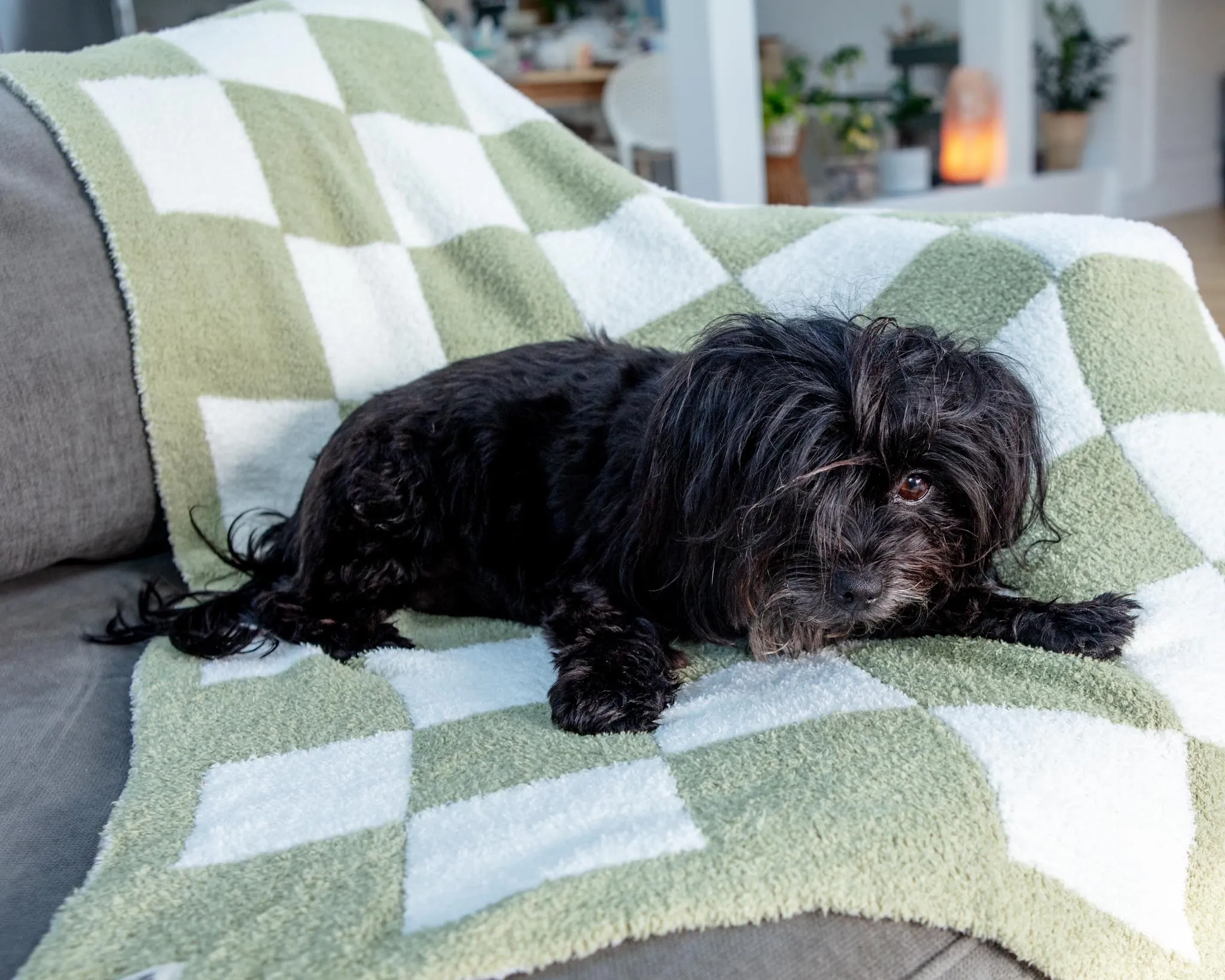 Luxe Check Blanket in Matcha Sage