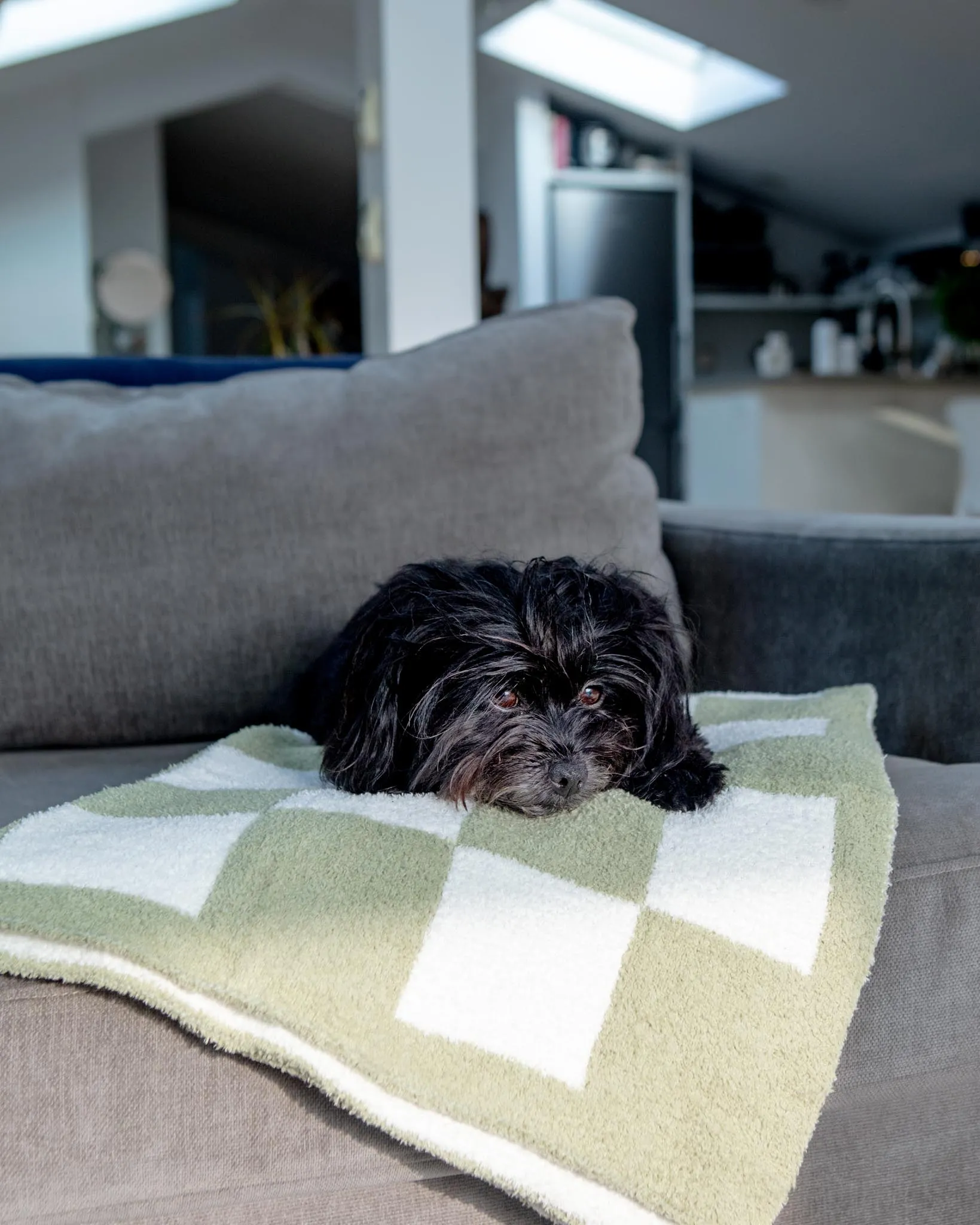 Luxe Check Blanket in Matcha Sage