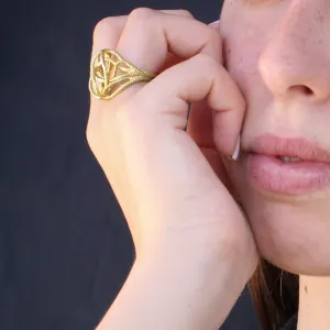 Modern unique gold/silver ring