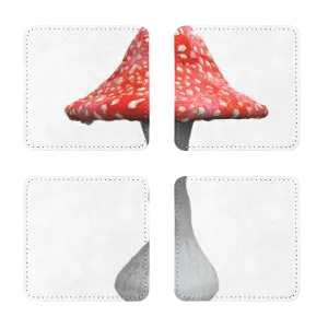 Mushroom2 Sublimation Coasters Pack of Four