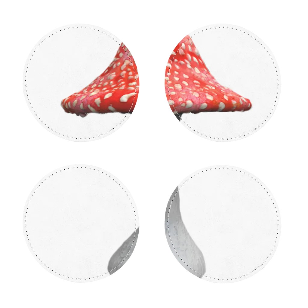 Mushroom2 Sublimation Coasters Pack of Four
