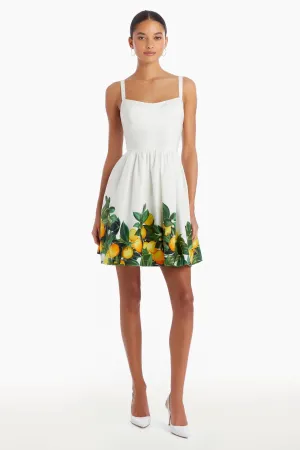NAPOLI LEMON DRESS 053024