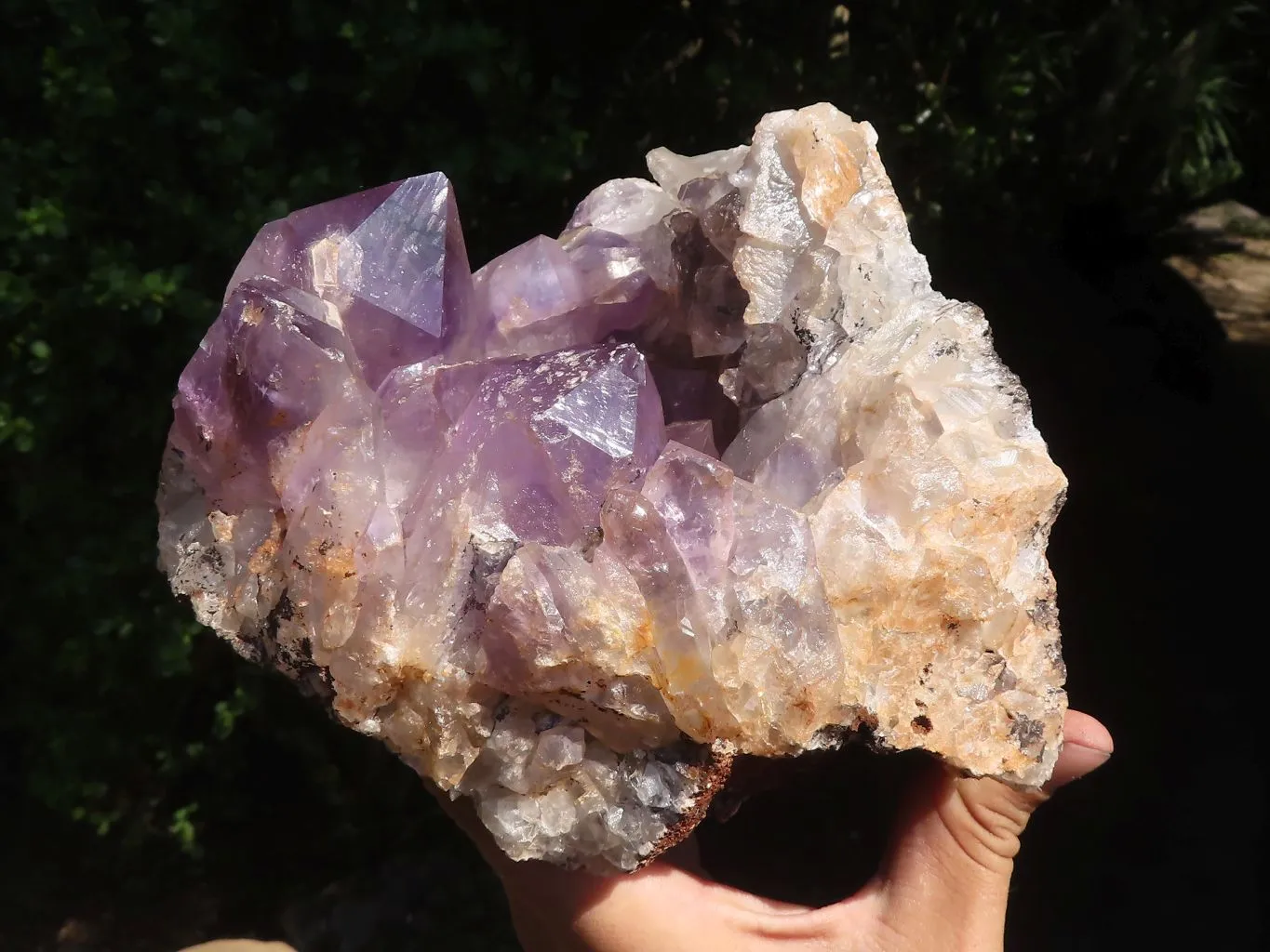 Natural Amethyst Vug Geode Specimen  x 1 From Zambia
