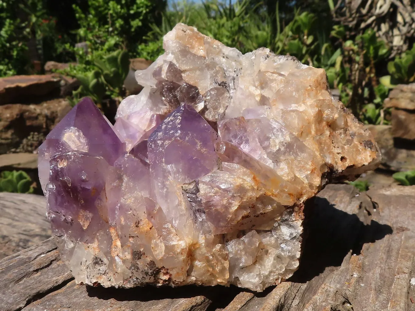 Natural Amethyst Vug Geode Specimen  x 1 From Zambia