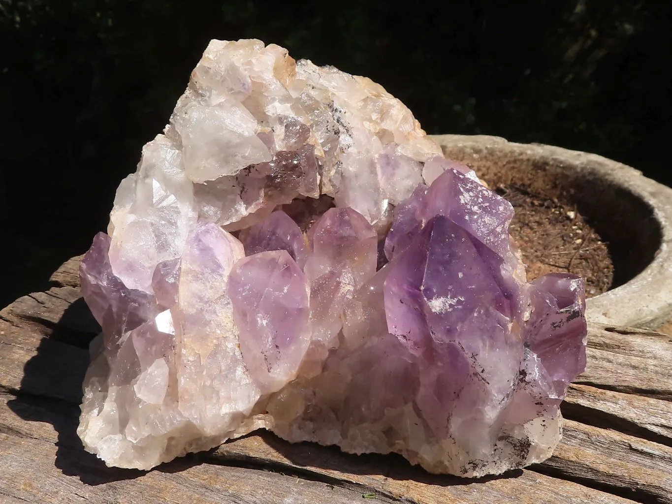 Natural Amethyst Vug Geode Specimen  x 1 From Zambia