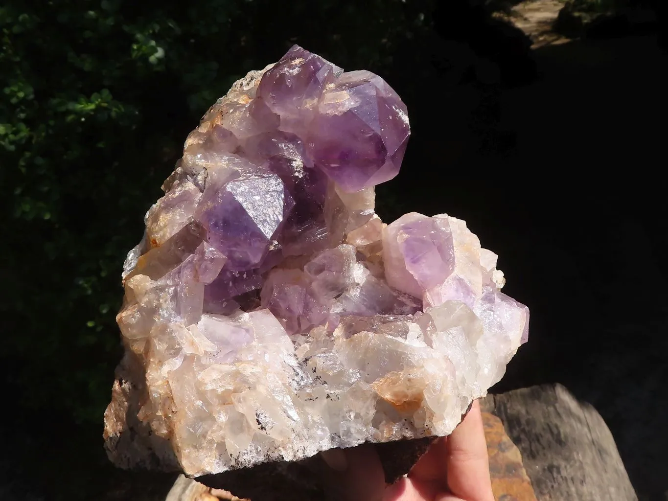 Natural Amethyst Vug Geode Specimen  x 1 From Zambia