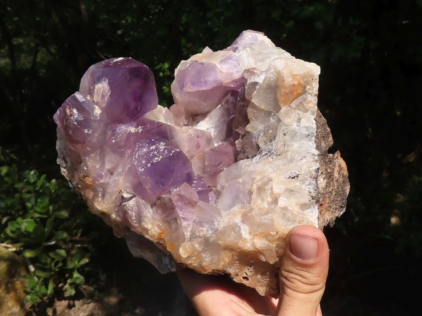 Natural Amethyst Vug Geode Specimen  x 1 From Zambia