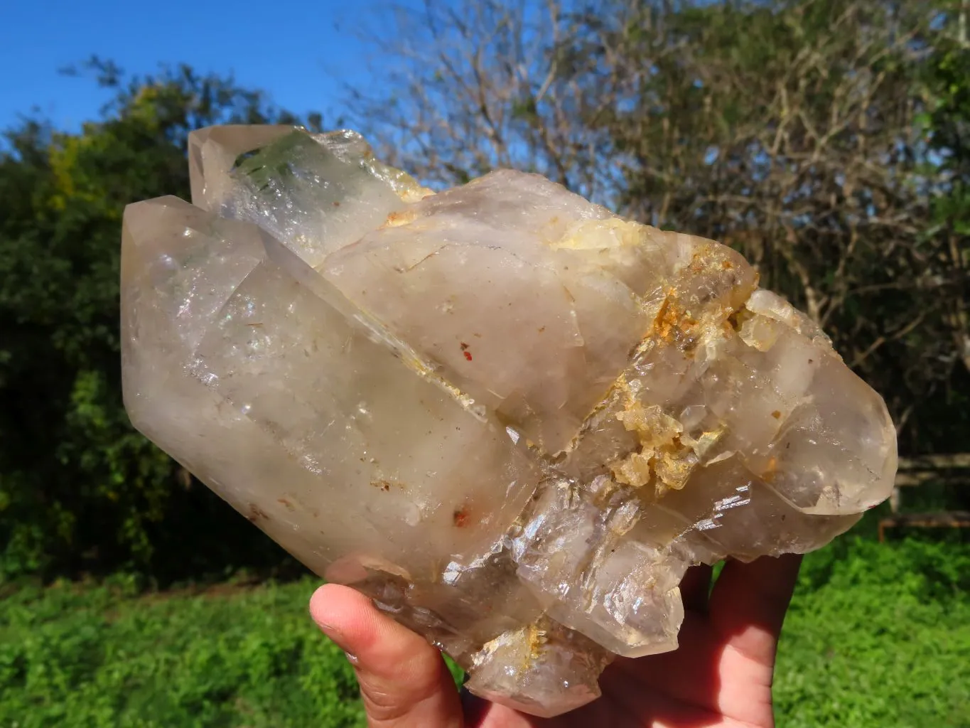 Natural Arcadian Multi Terminated Quartz Crystal x 1 From Angola