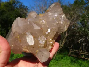 Natural Arcadian Multi Terminated Quartz Crystal x 1 From Angola
