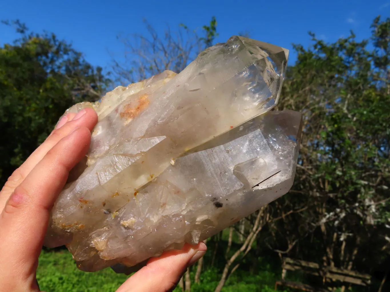 Natural Arcadian Multi Terminated Quartz Crystal x 1 From Angola