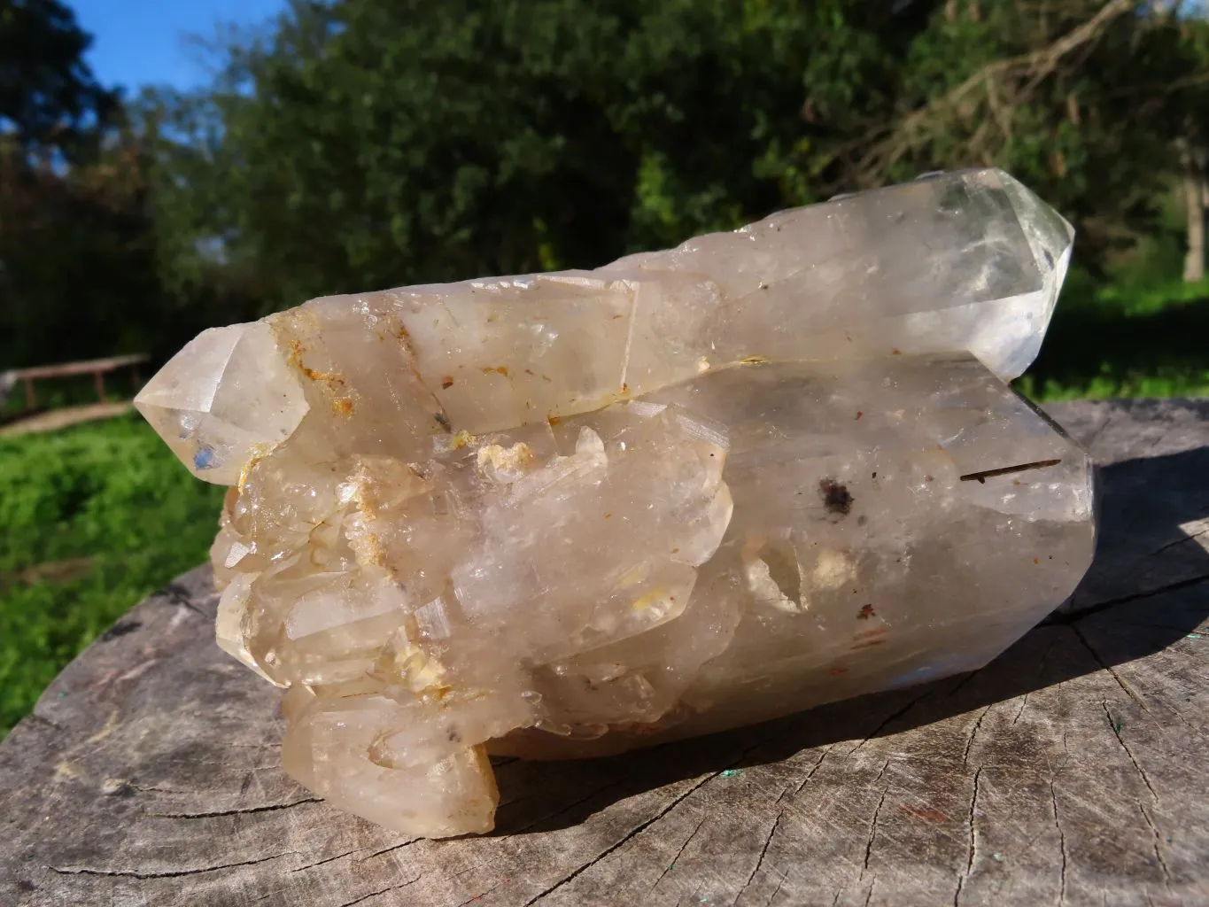 Natural Arcadian Multi Terminated Quartz Crystal x 1 From Angola