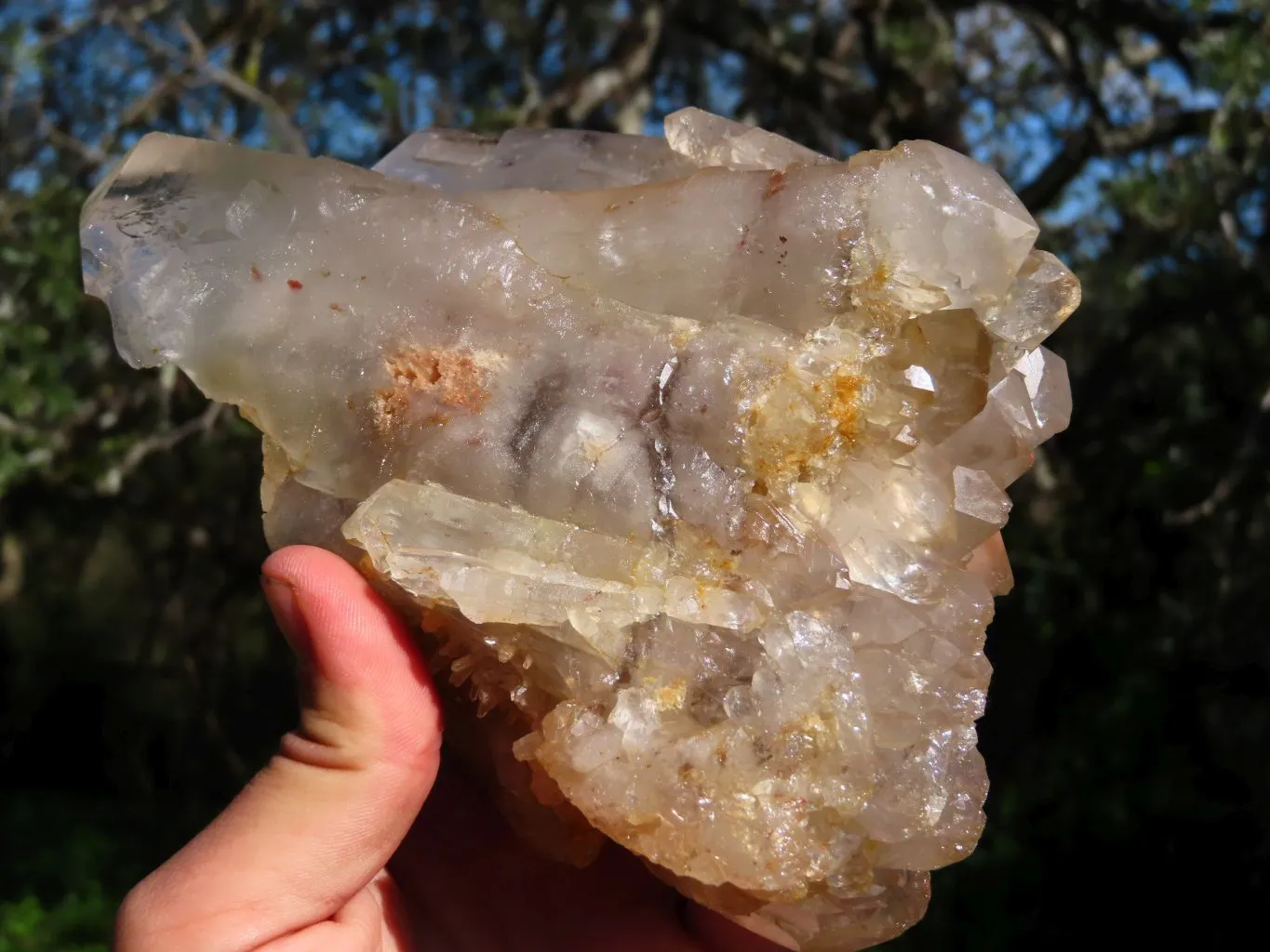 Natural Arcadian Multi Terminated Quartz Crystal x 1 From Angola