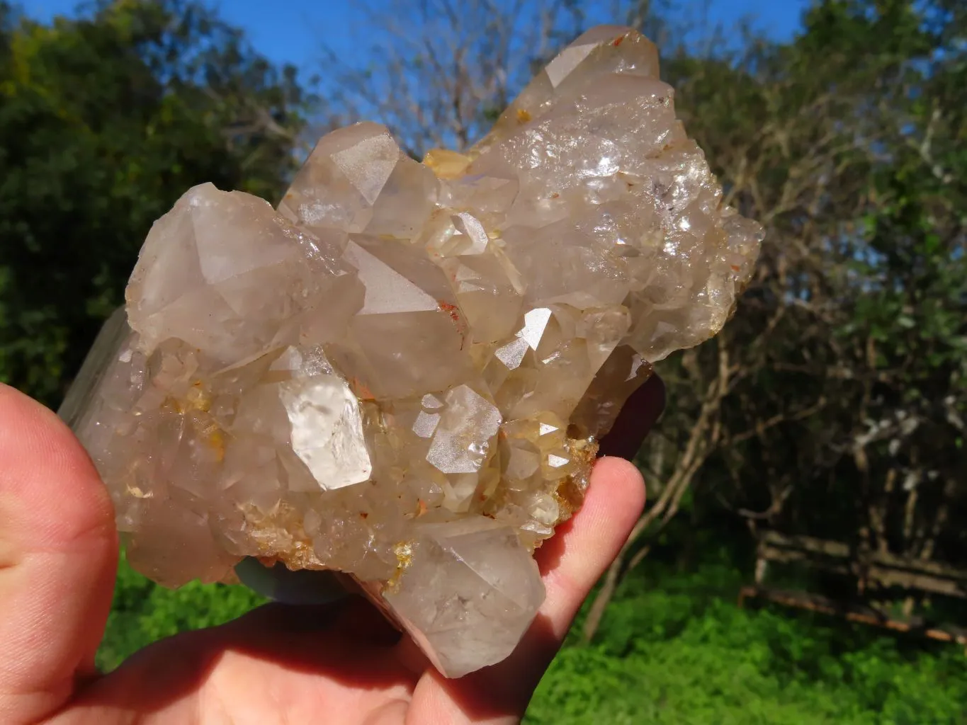 Natural Arcadian Multi Terminated Quartz Crystal x 1 From Angola