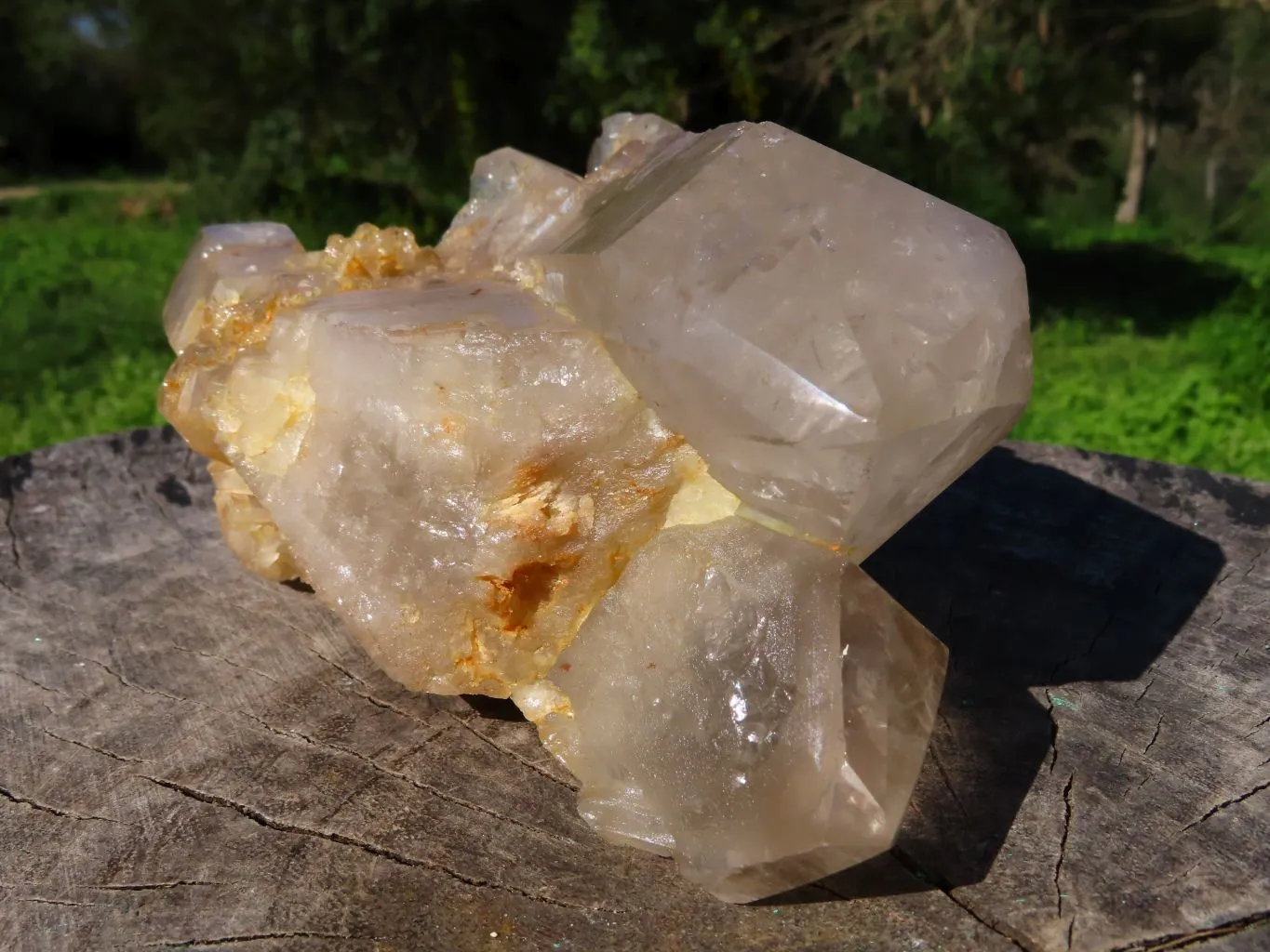 Natural Arcadian Multi Terminated Quartz Crystal x 1 From Angola